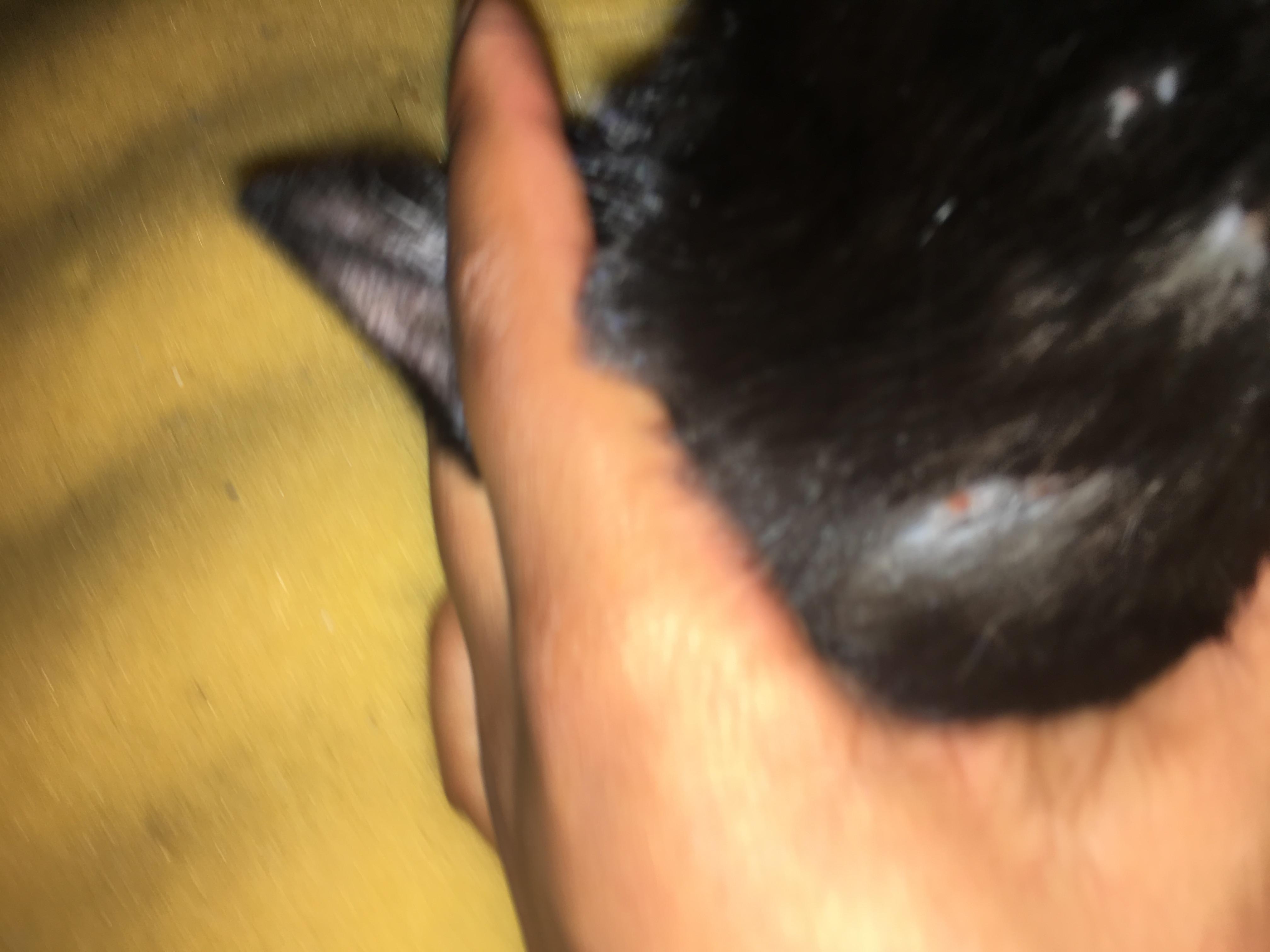 Question details sensitive content