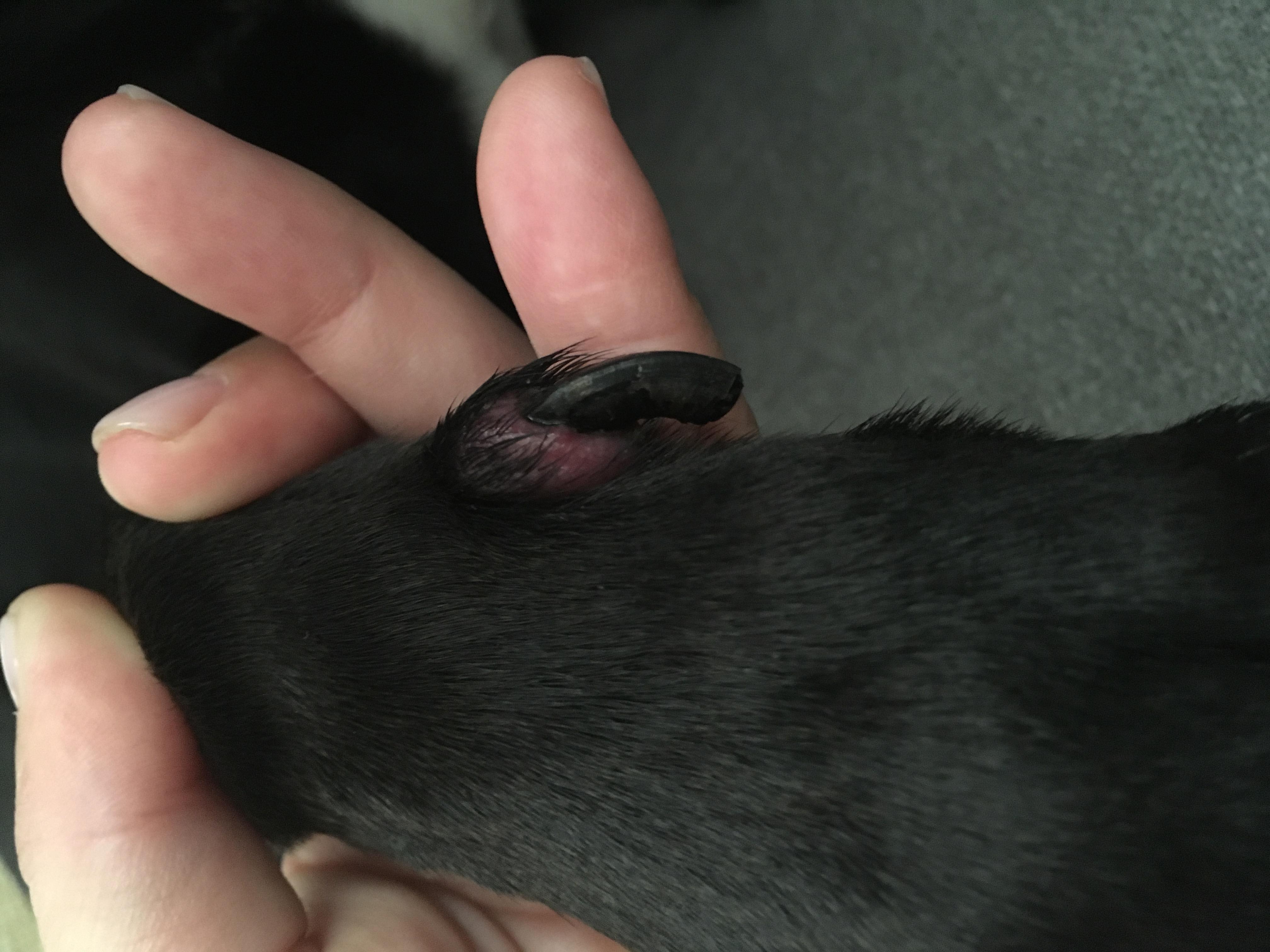 Question details sensitive content