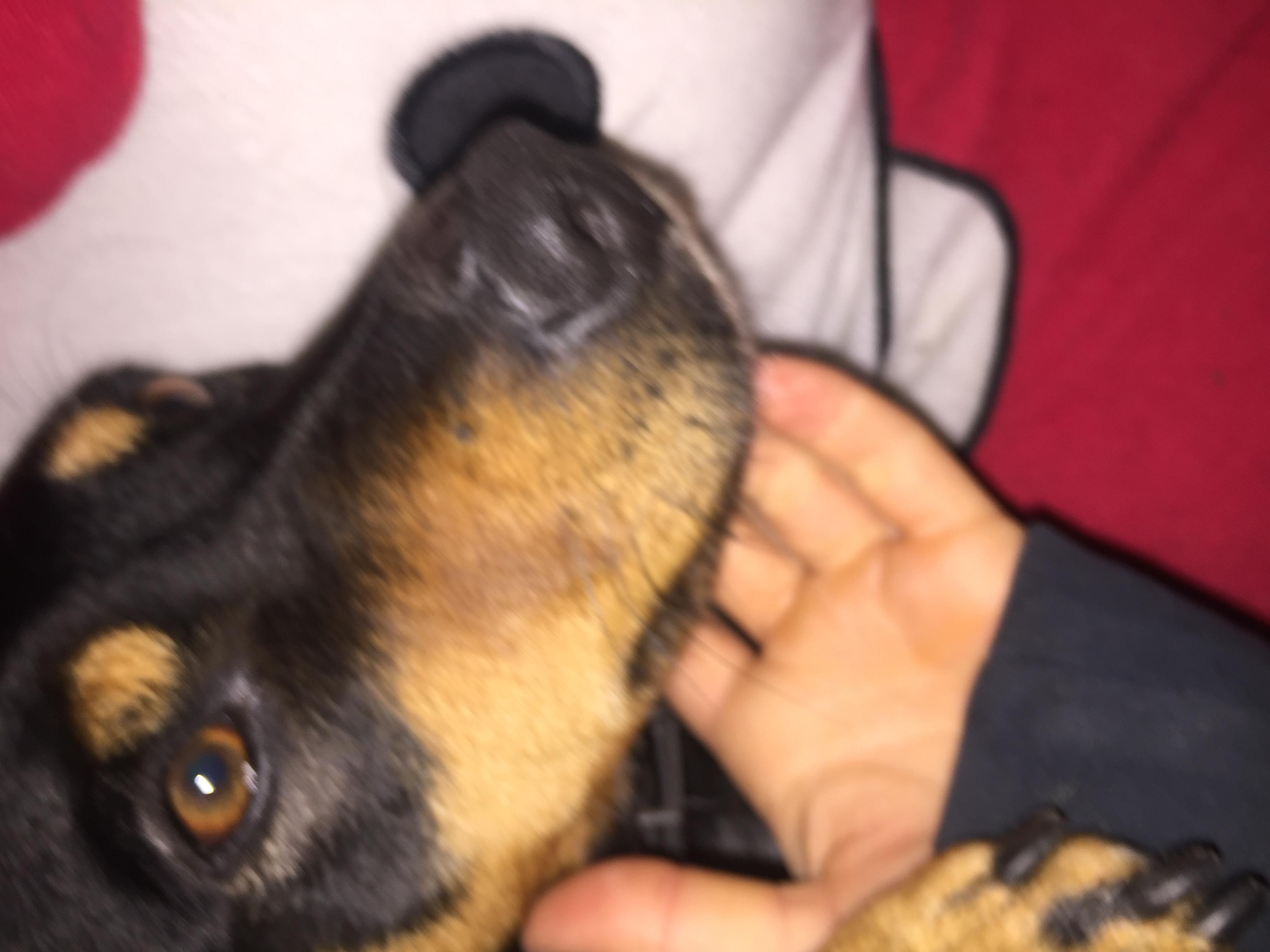 Question details sensitive content