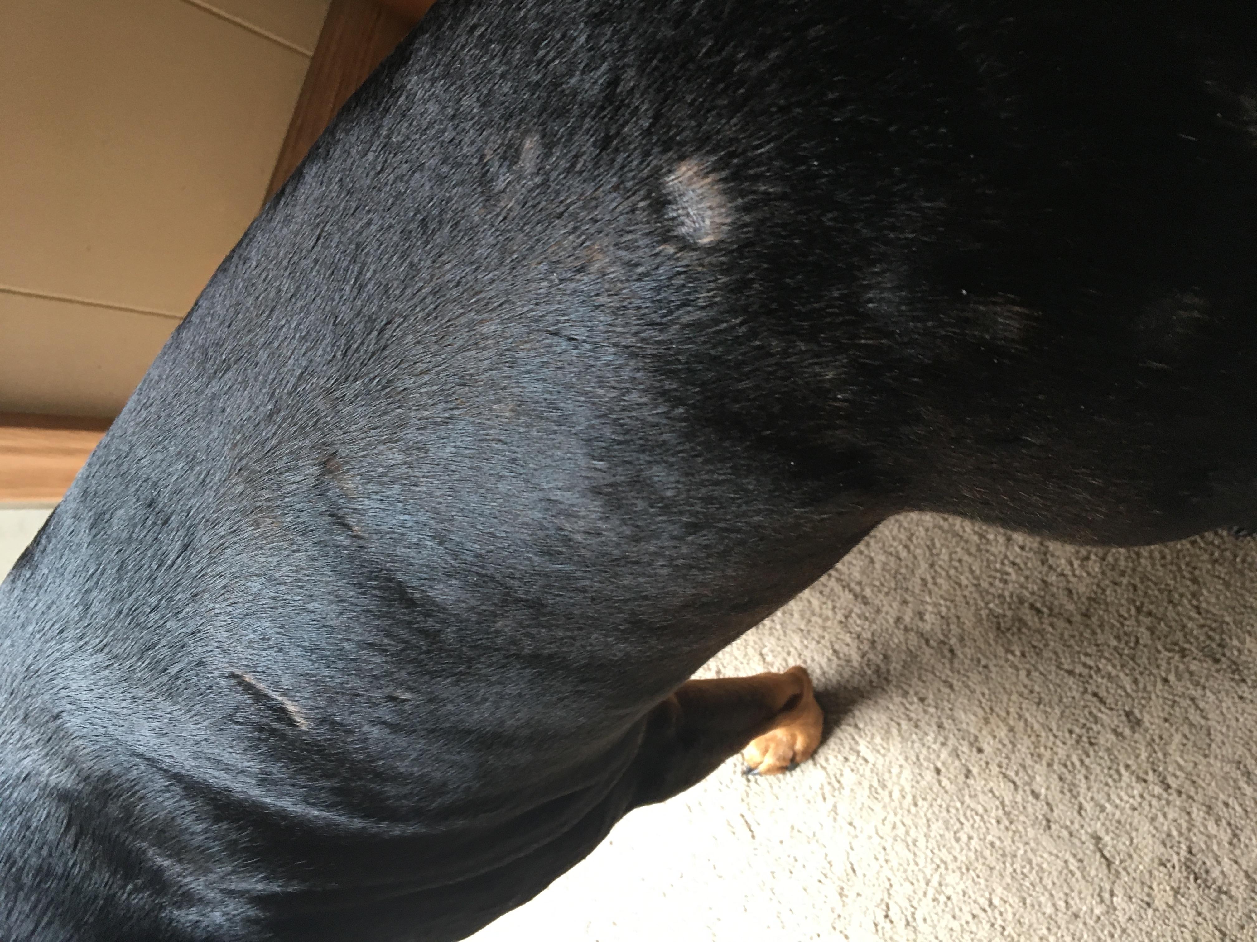 Question details sensitive content