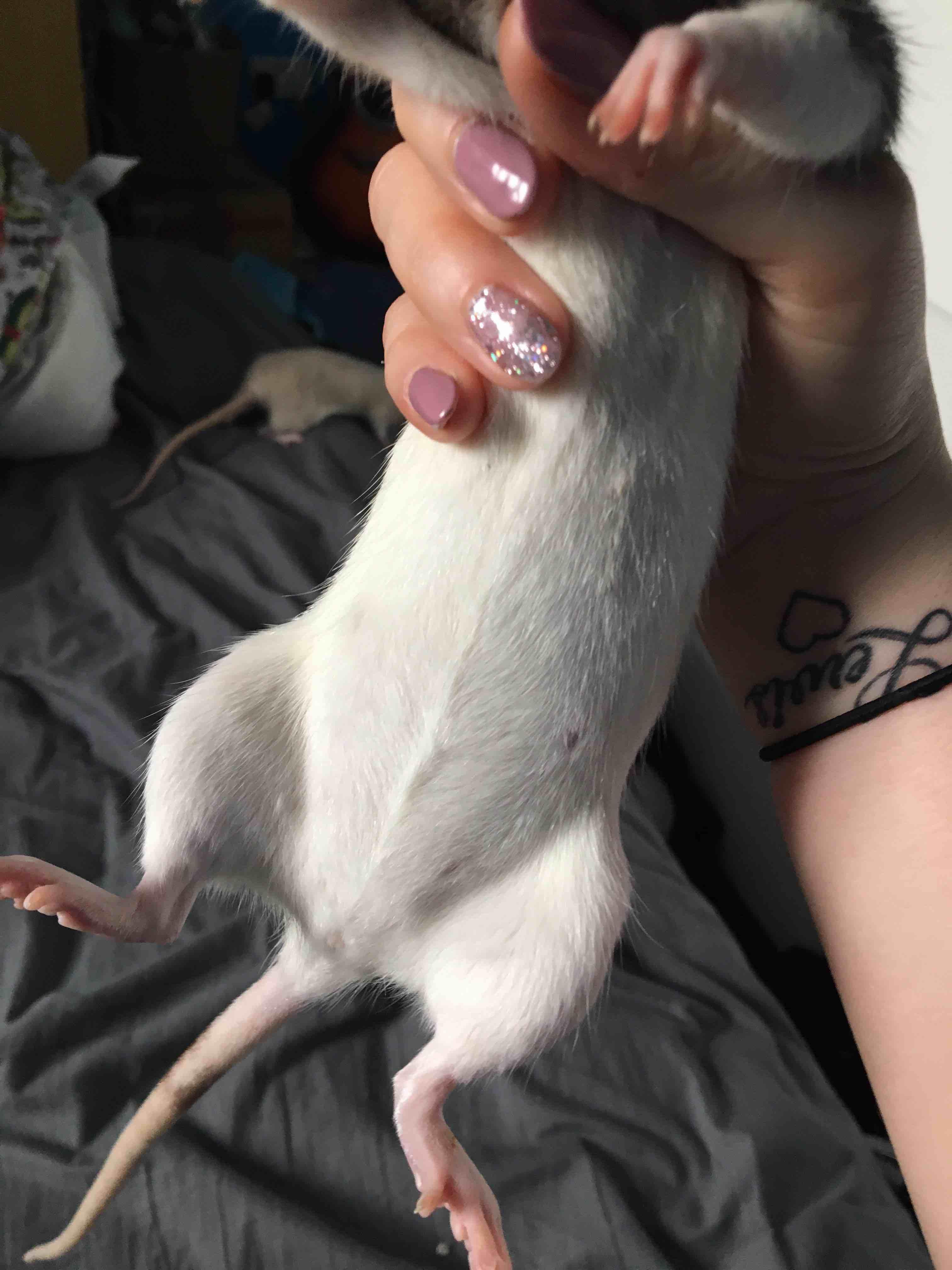 Question details sensitive content