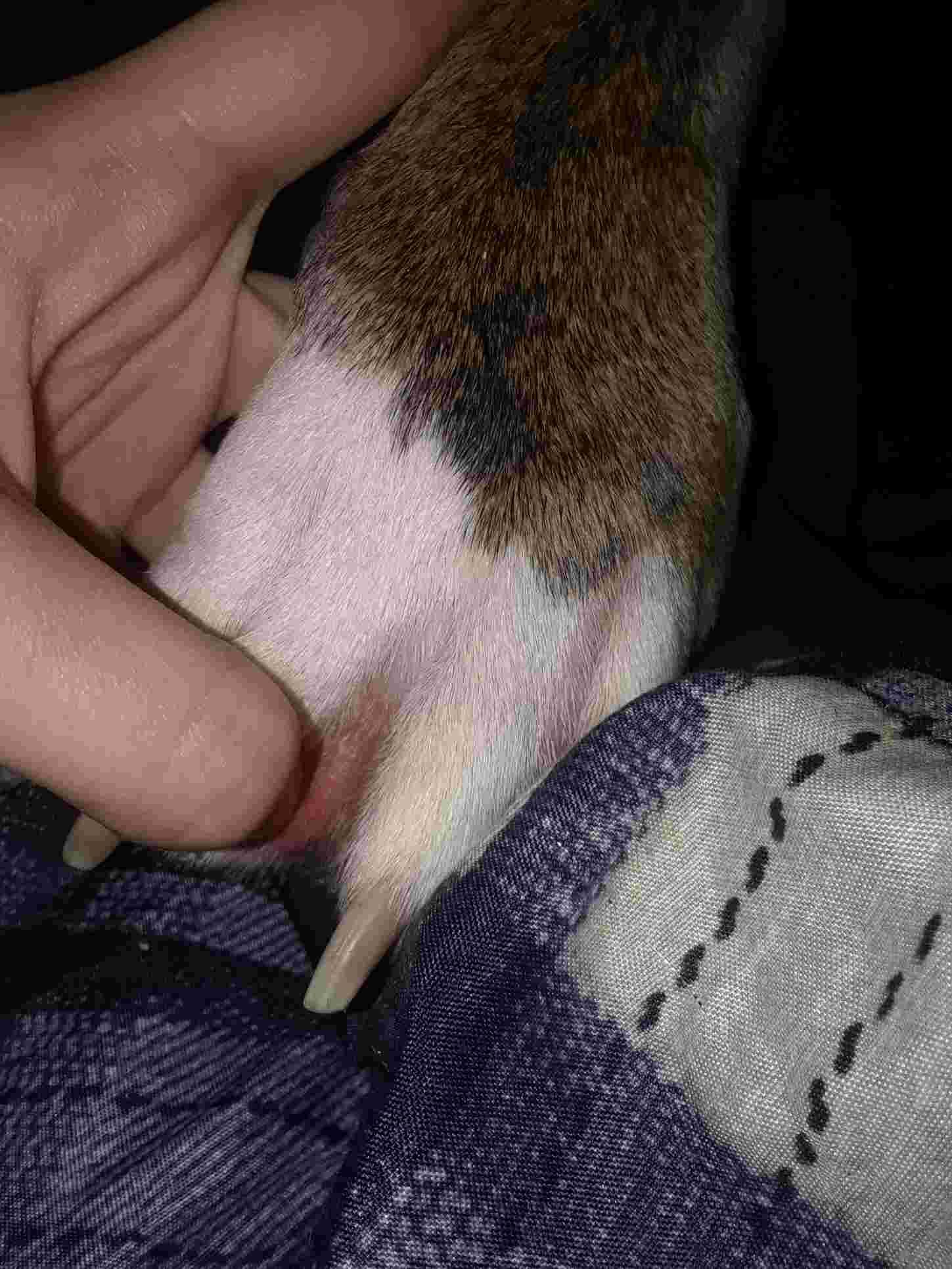 Question details sensitive content