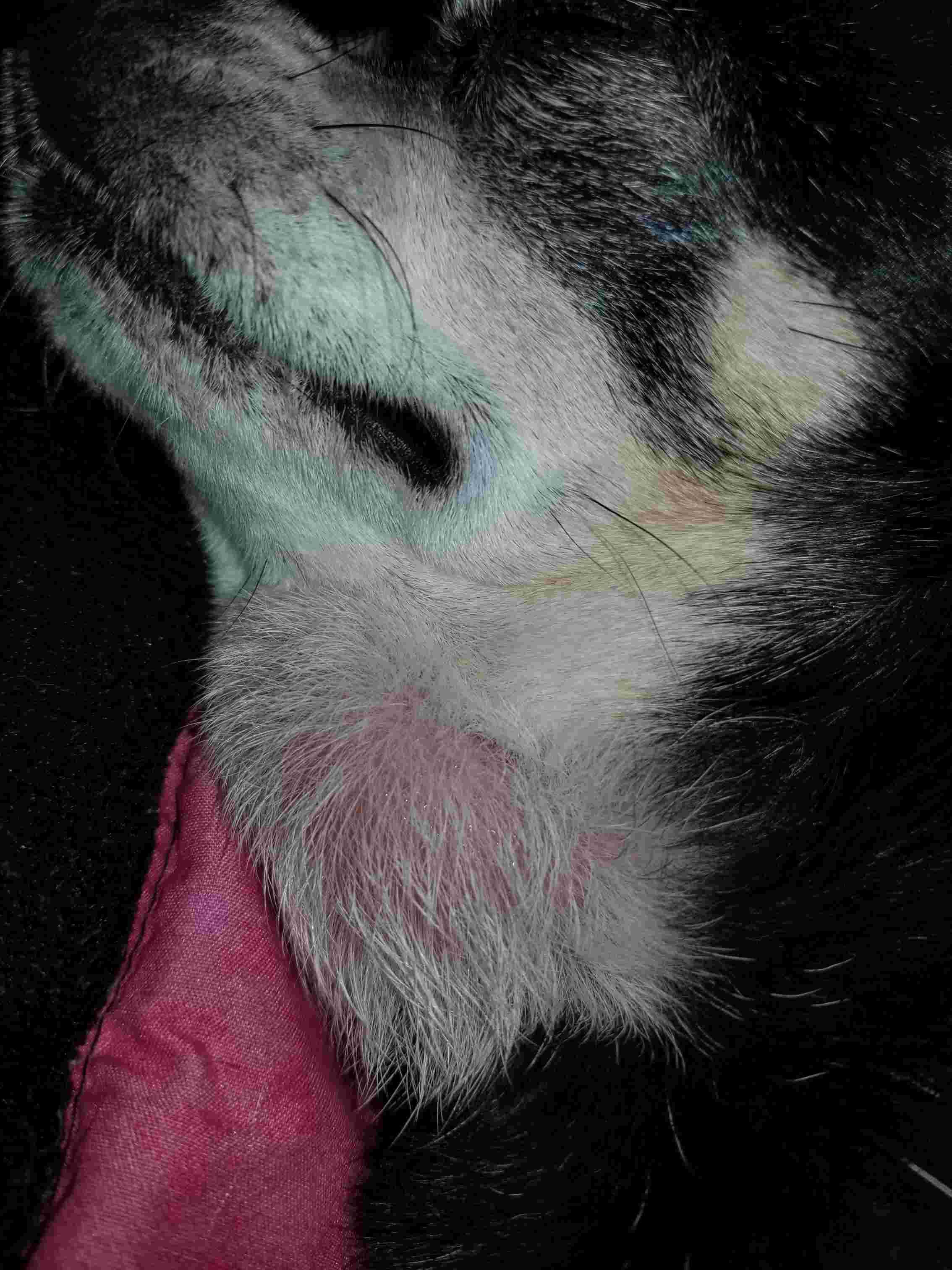 Question details sensitive content