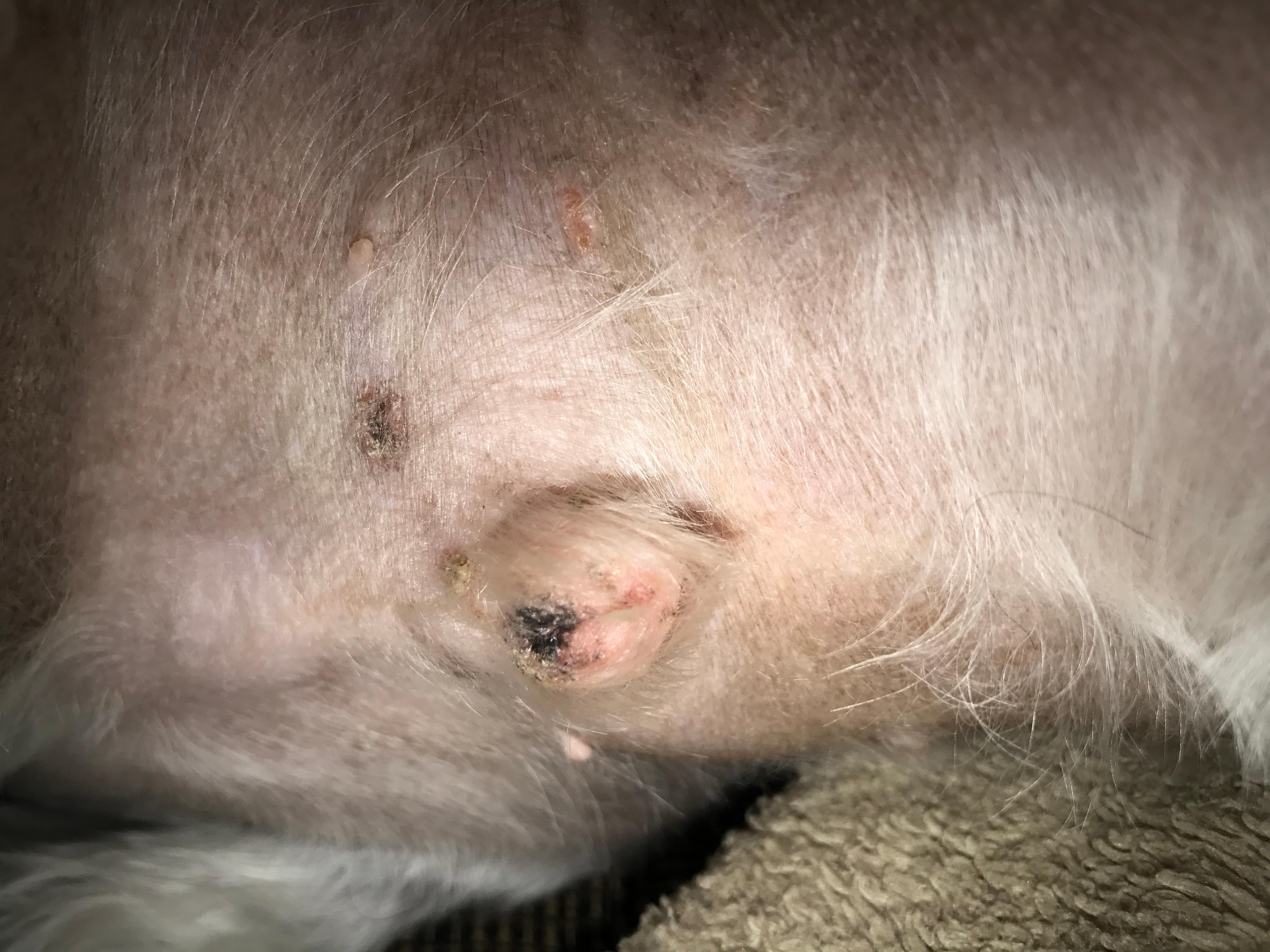 Question details sensitive content