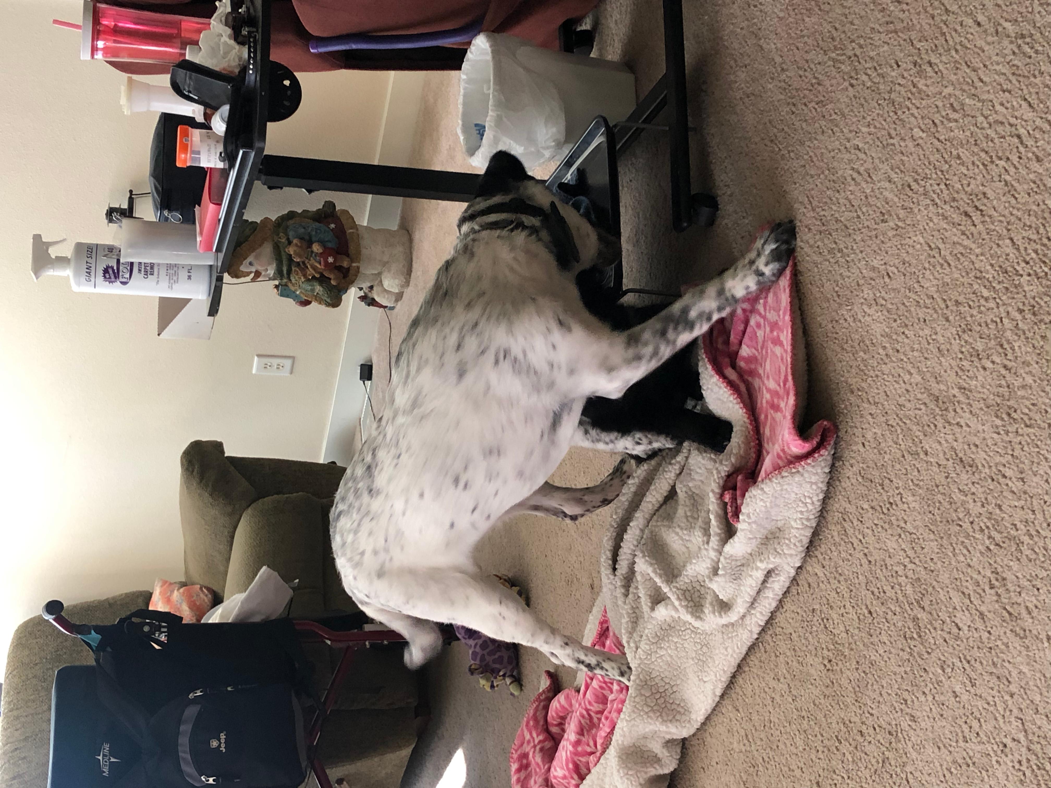 Question details sensitive content