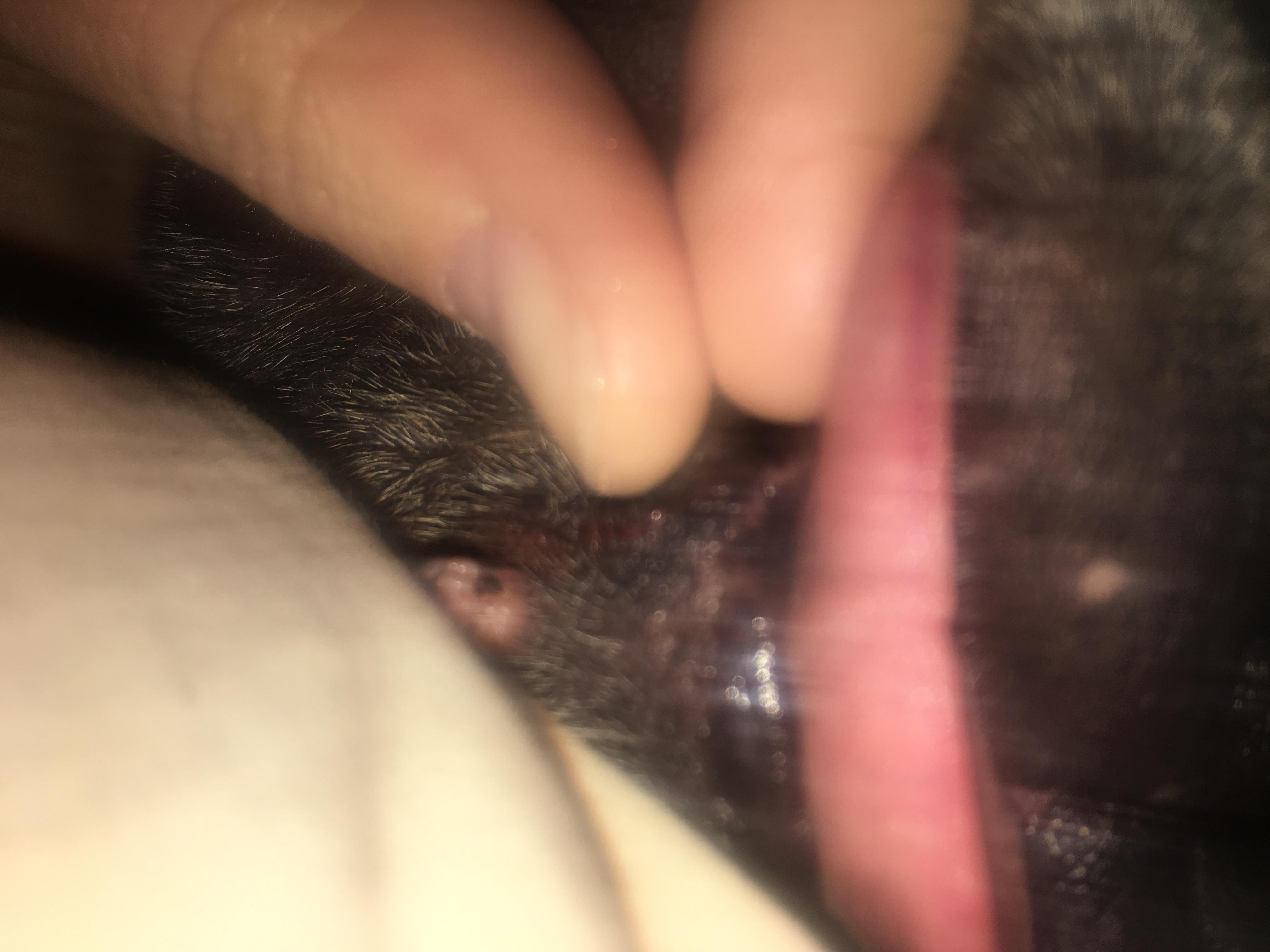 Question details sensitive content