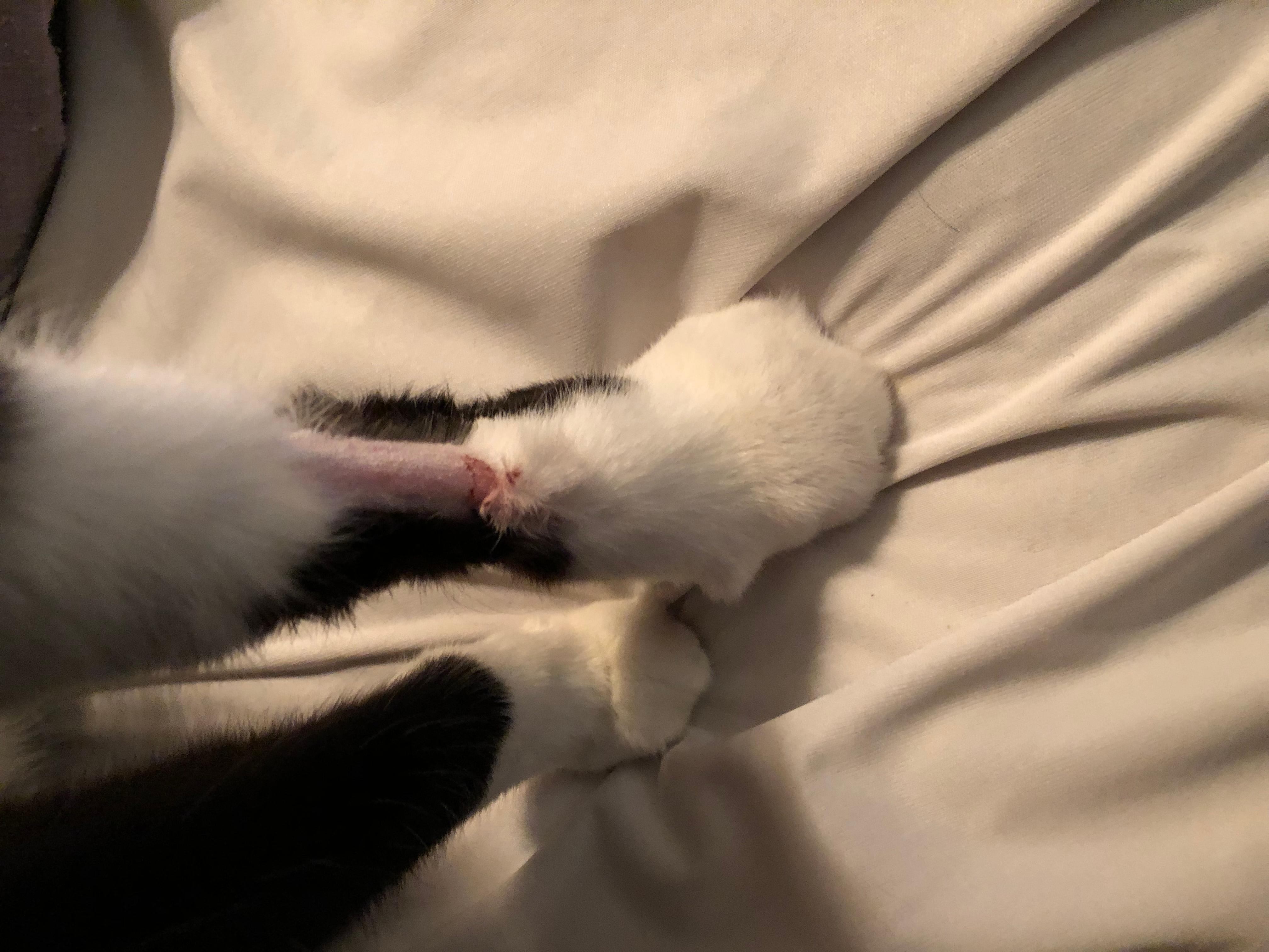 Question details sensitive content