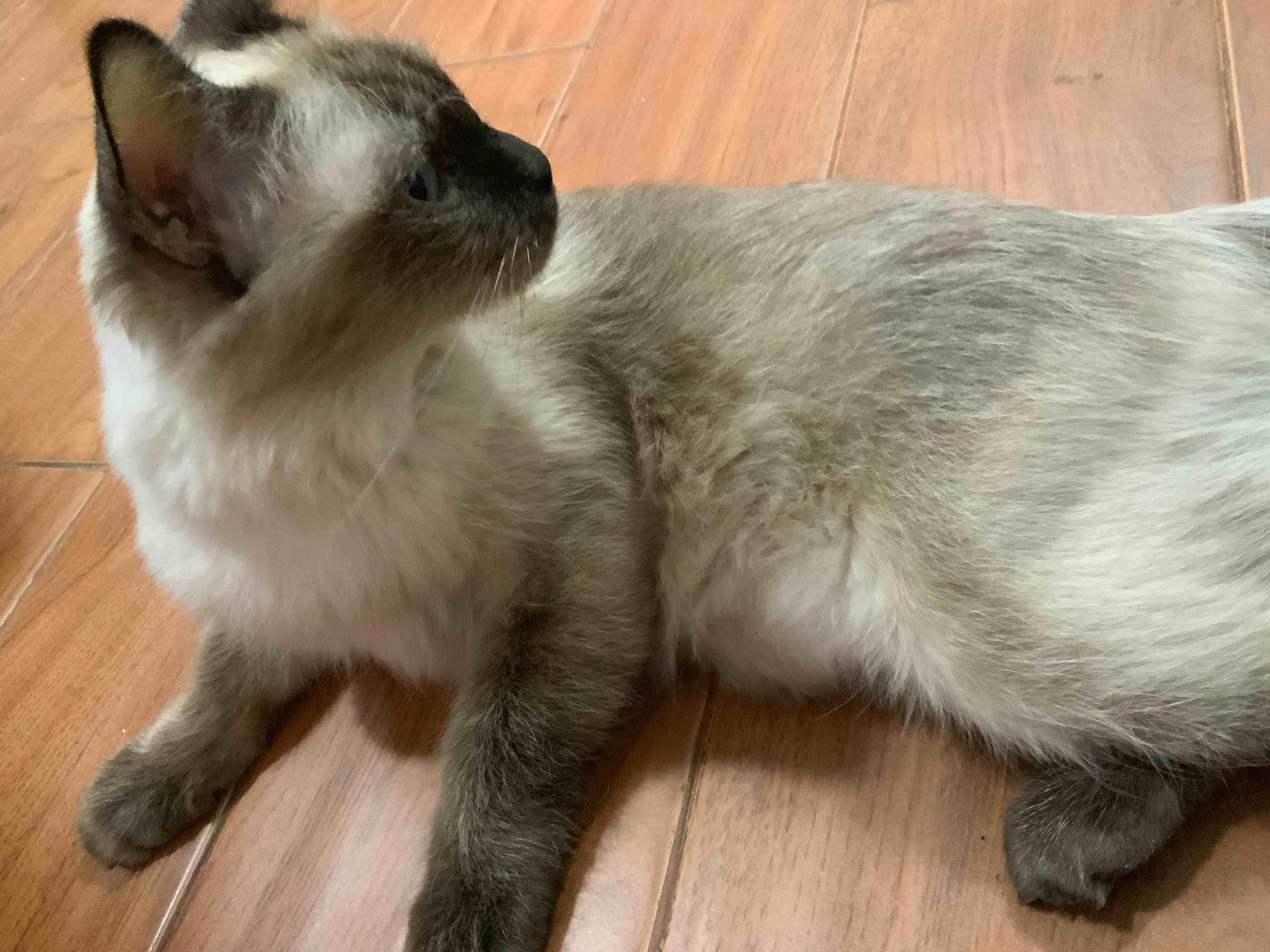 Question details sensitive content