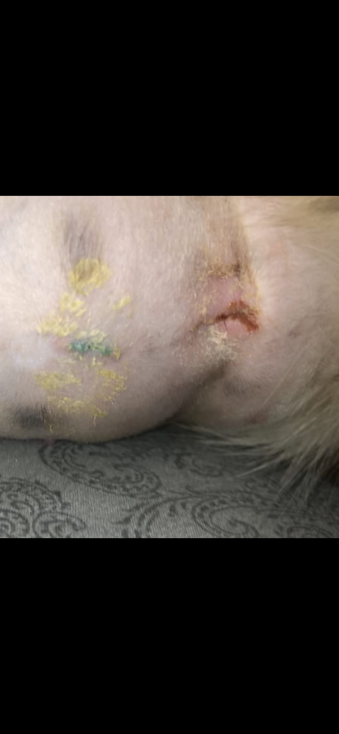 Question details sensitive content