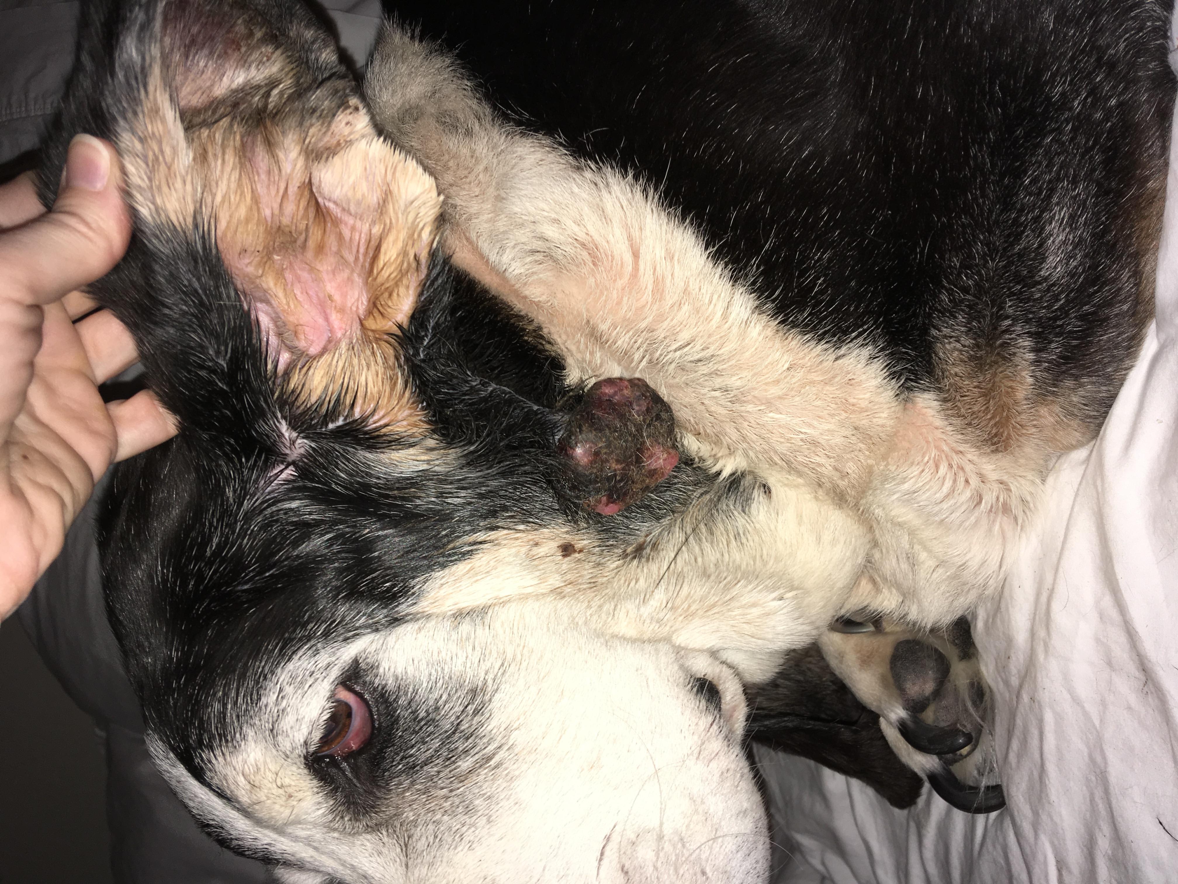 Question details sensitive content