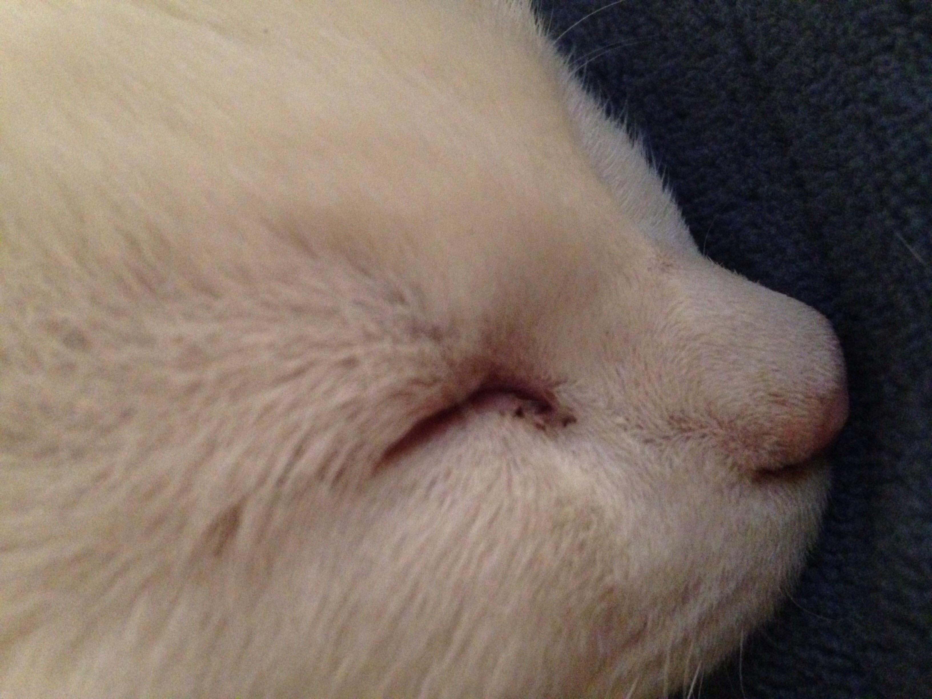 Question details sensitive content