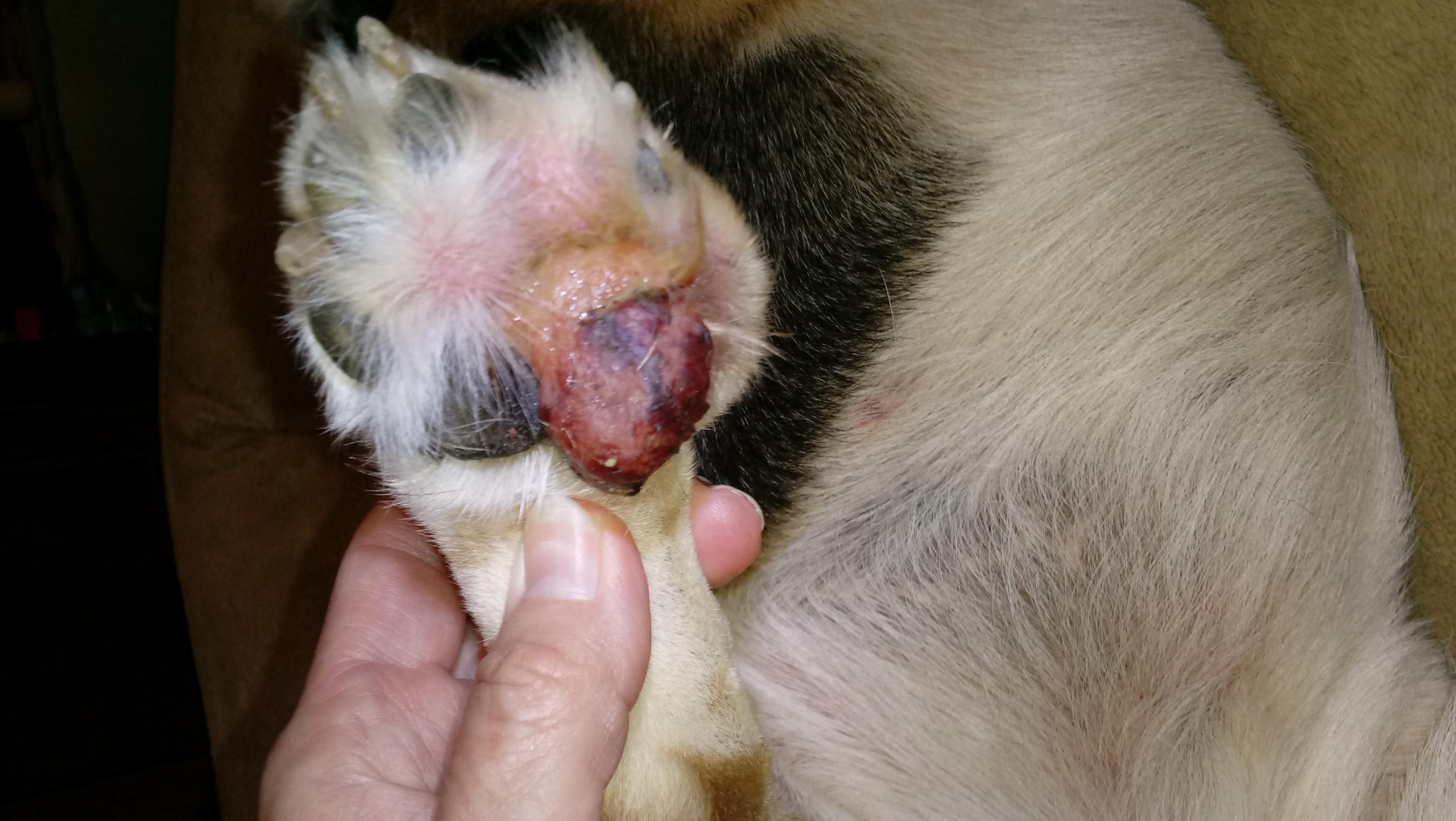 Question details sensitive content