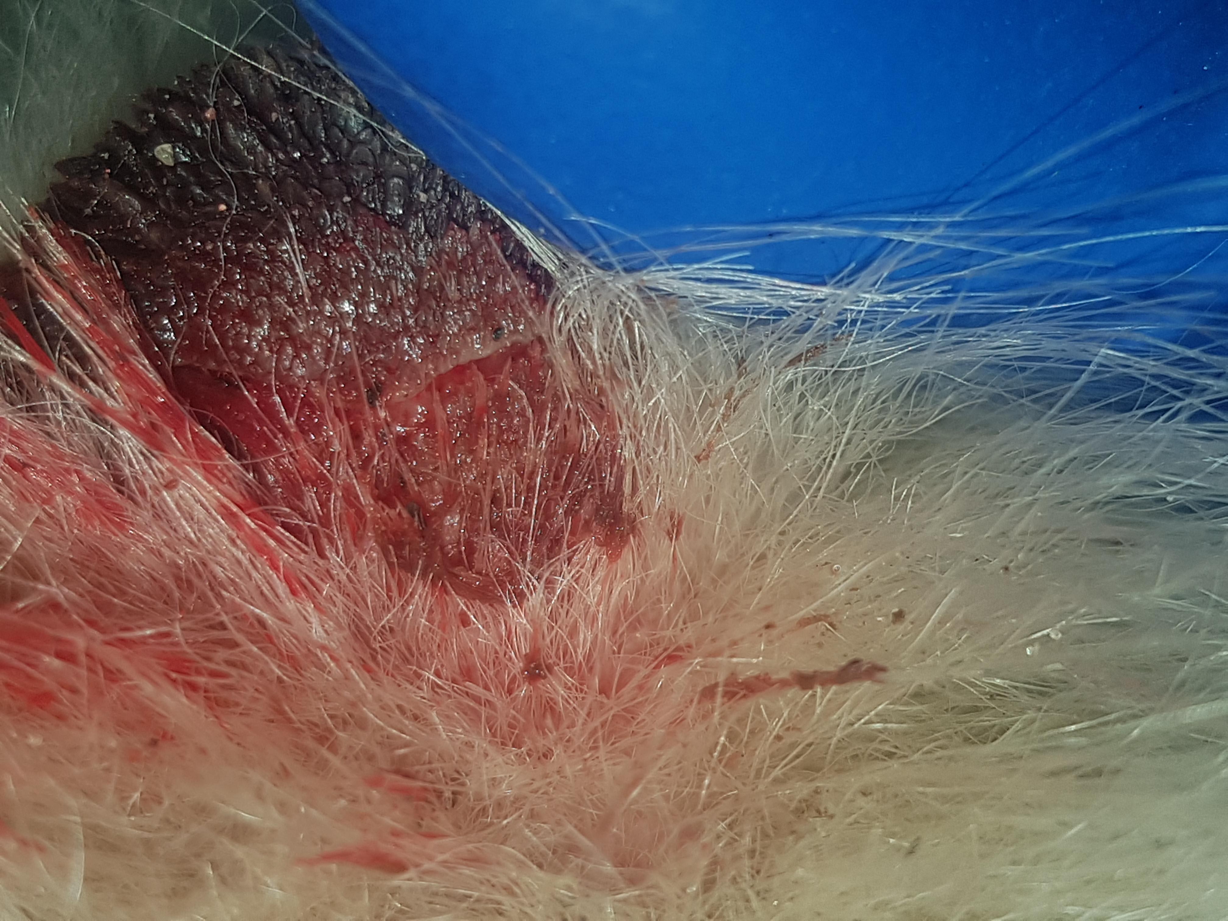 Question details sensitive content