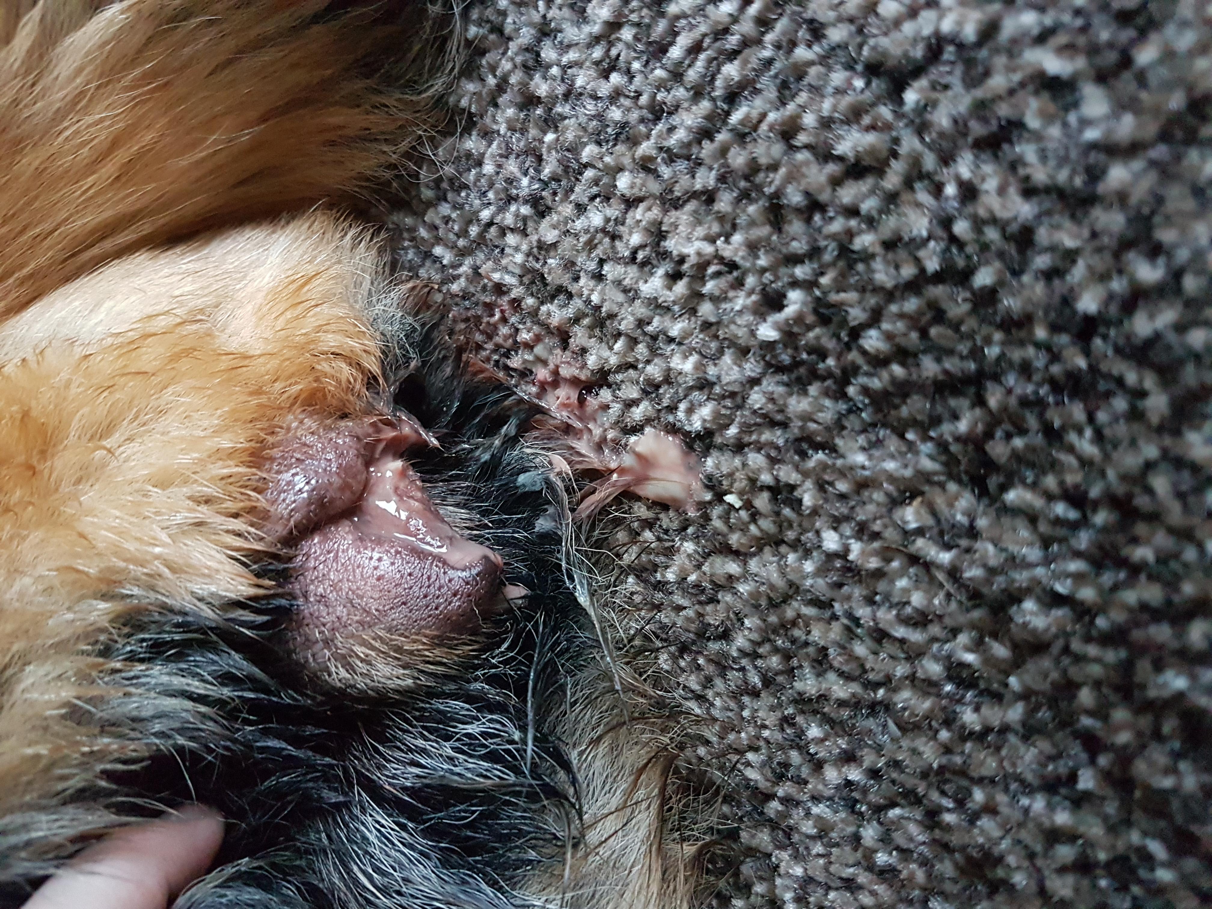 Question details sensitive content