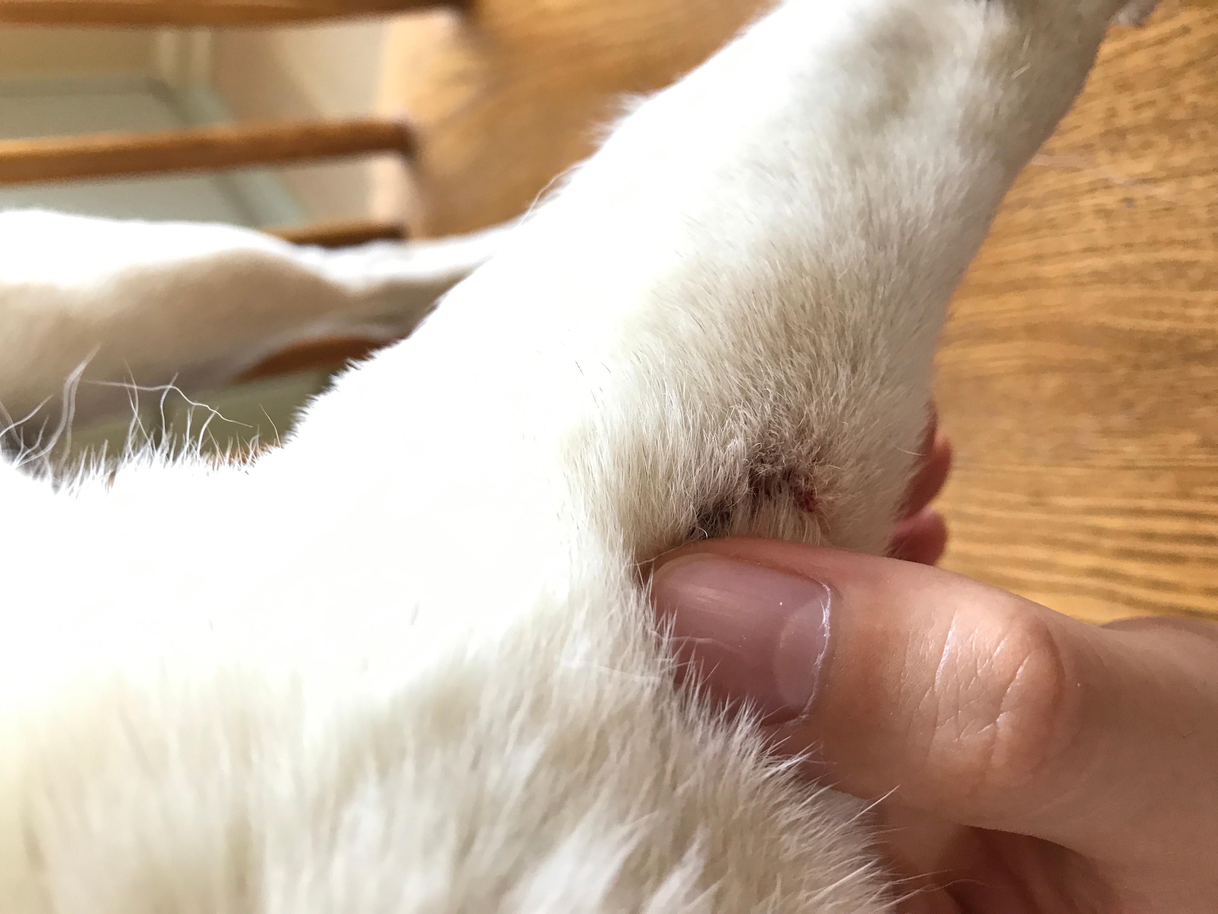 Question details sensitive content