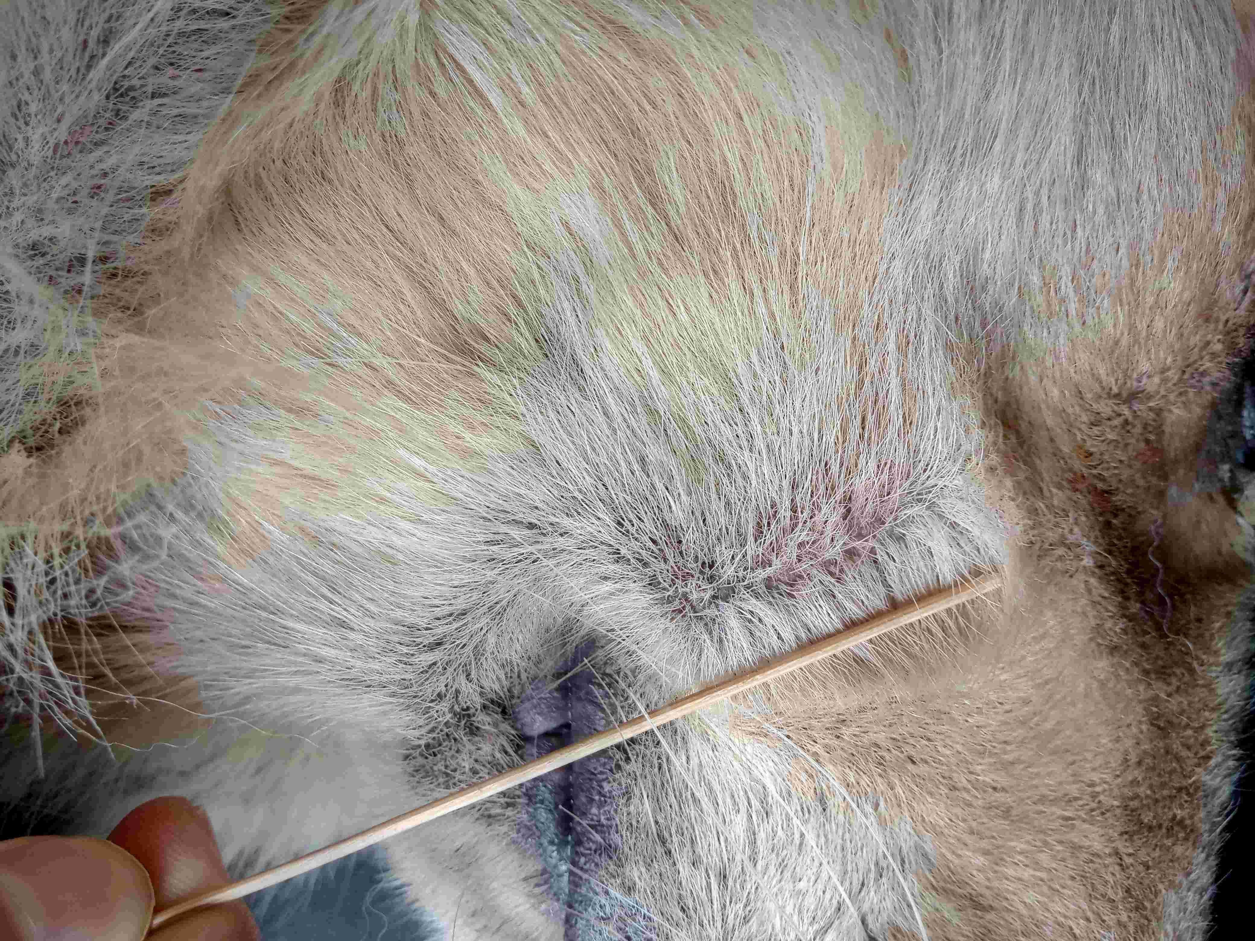 Question details sensitive content