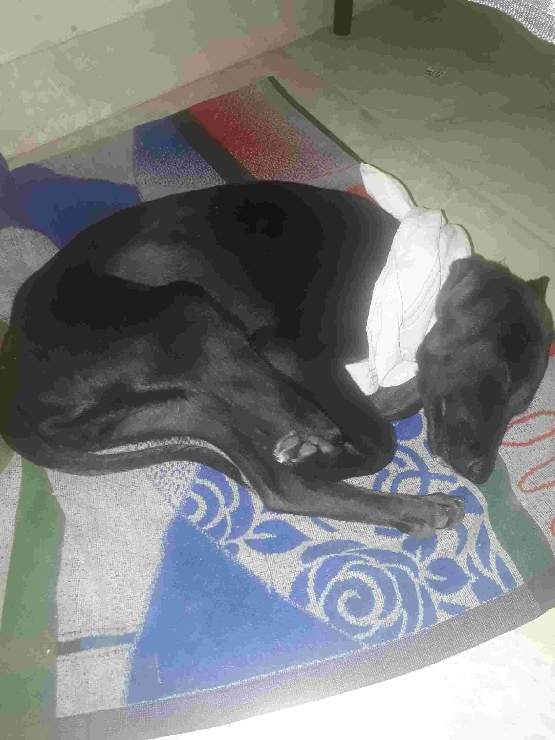 Question details sensitive content