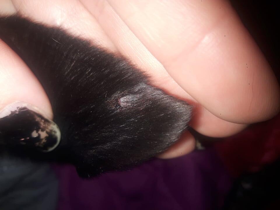 Question details sensitive content