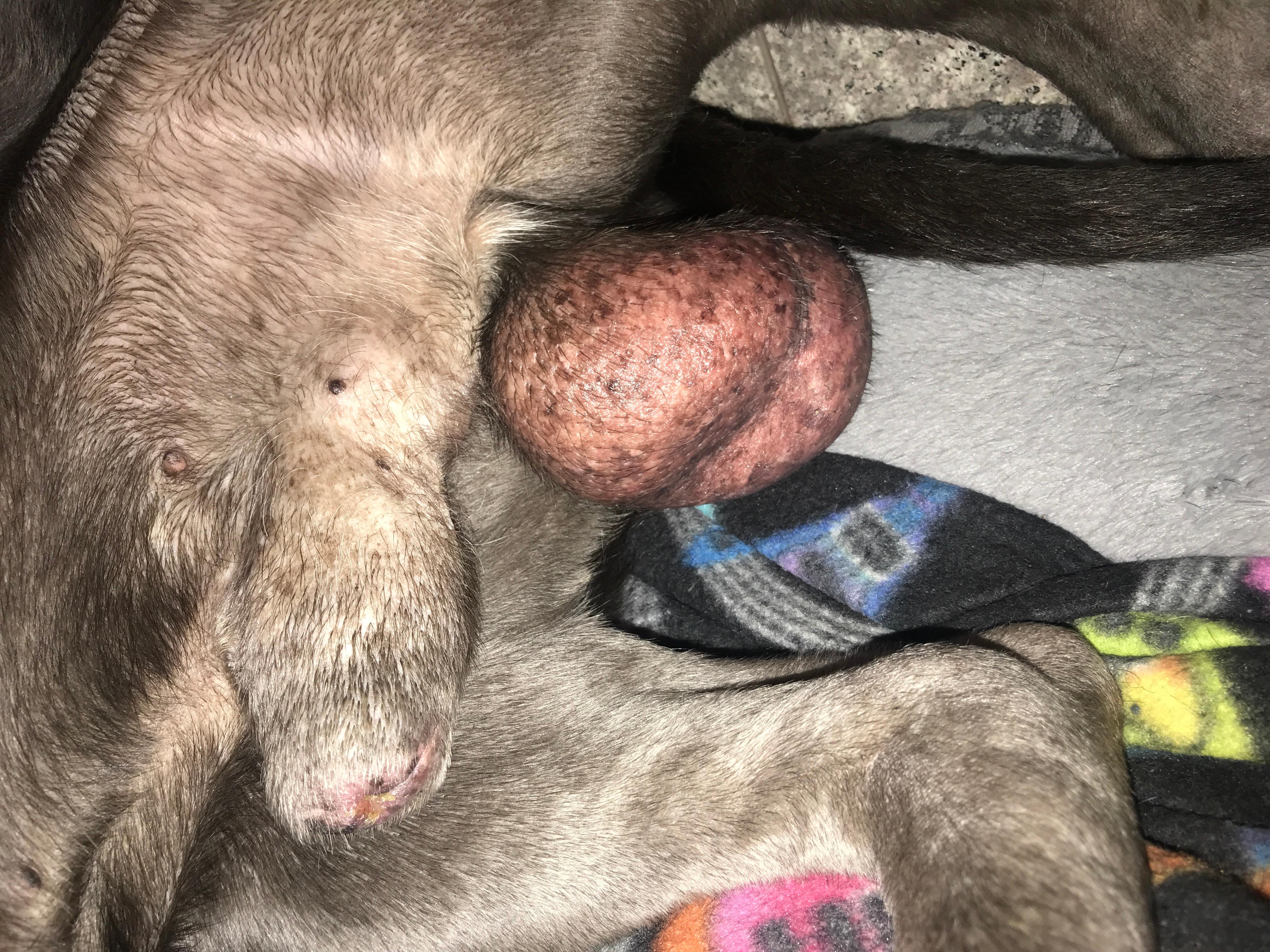 Question details sensitive content