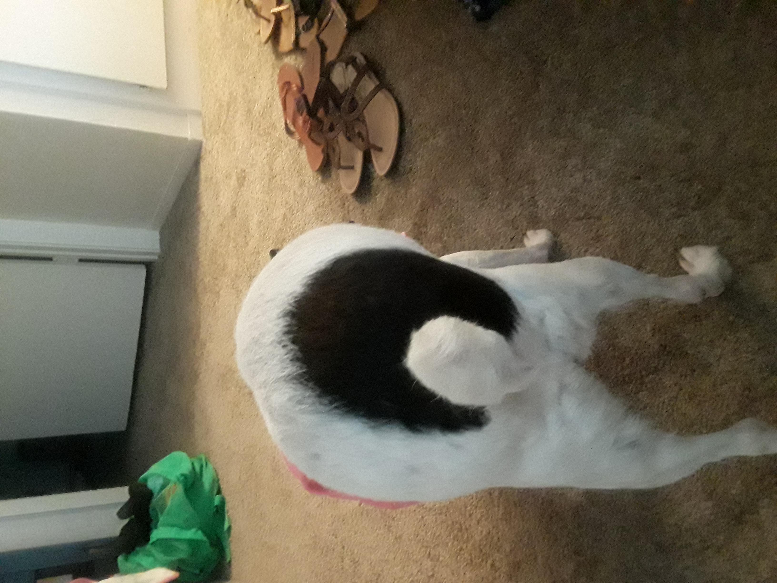 Question details sensitive content