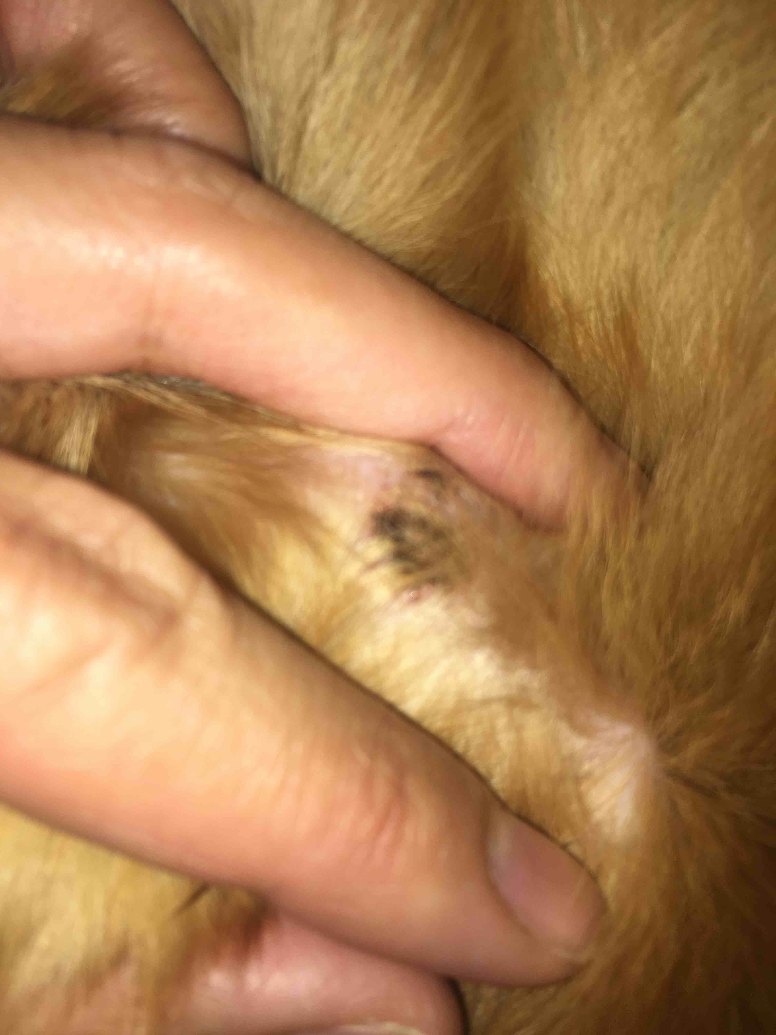 Question details sensitive content