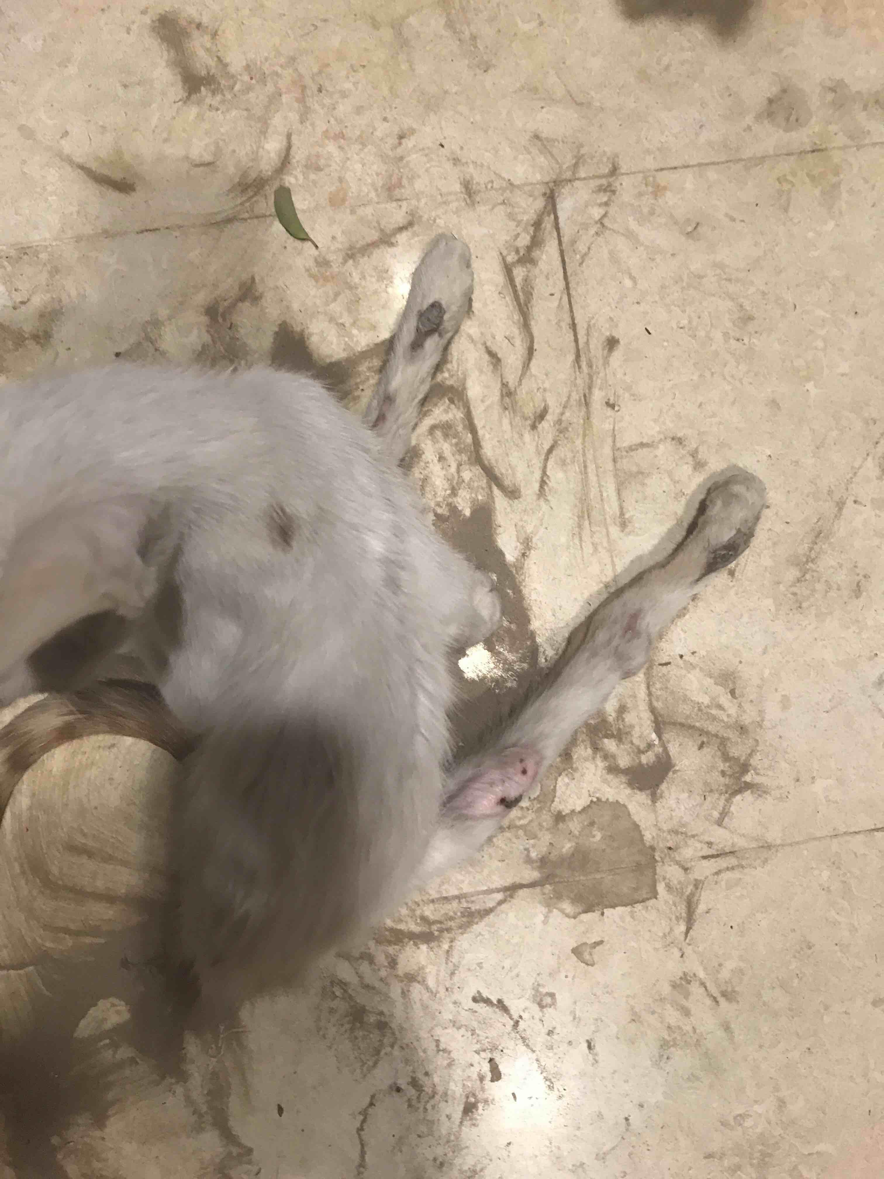 Question details sensitive content