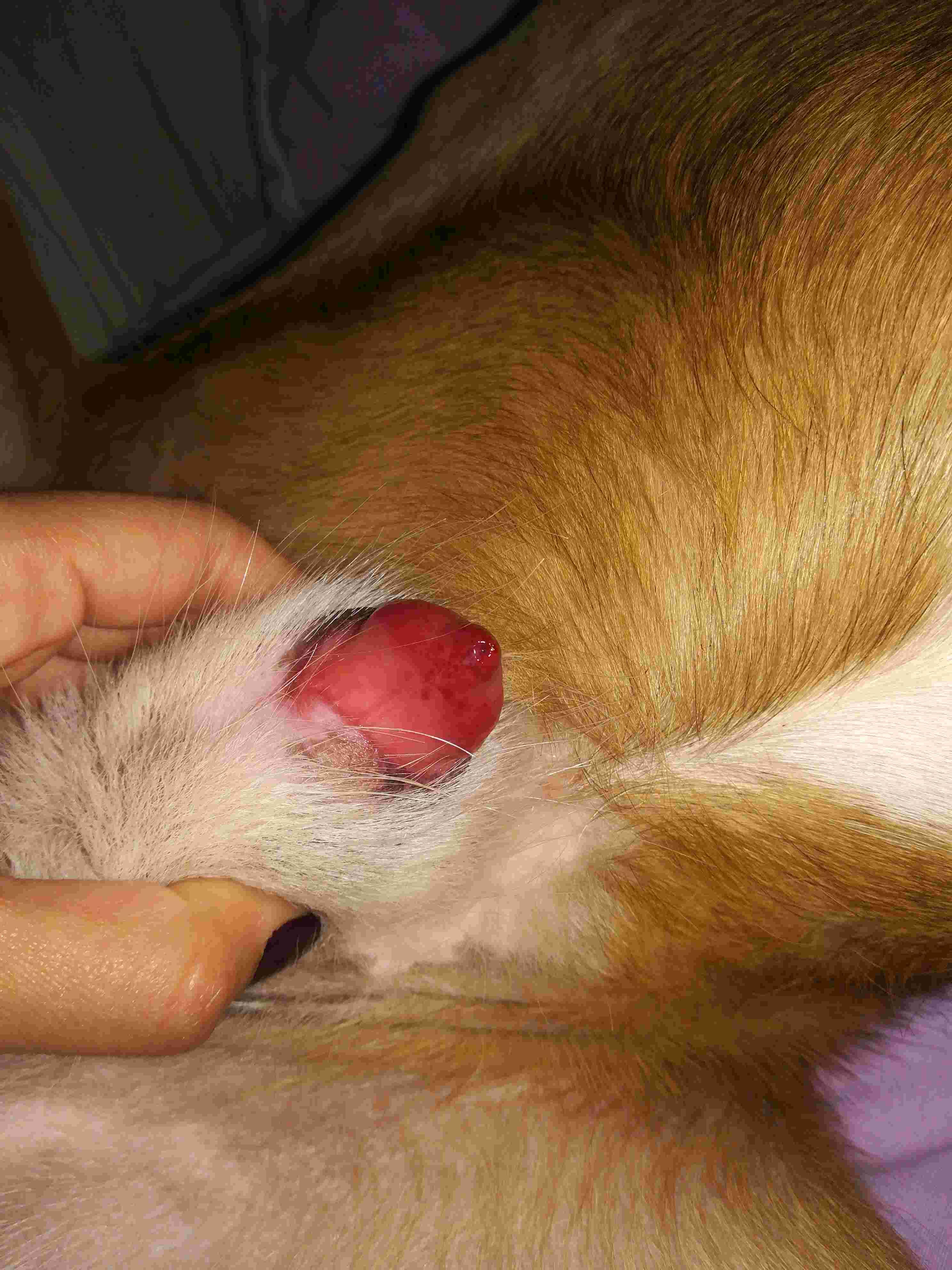 Question details sensitive content