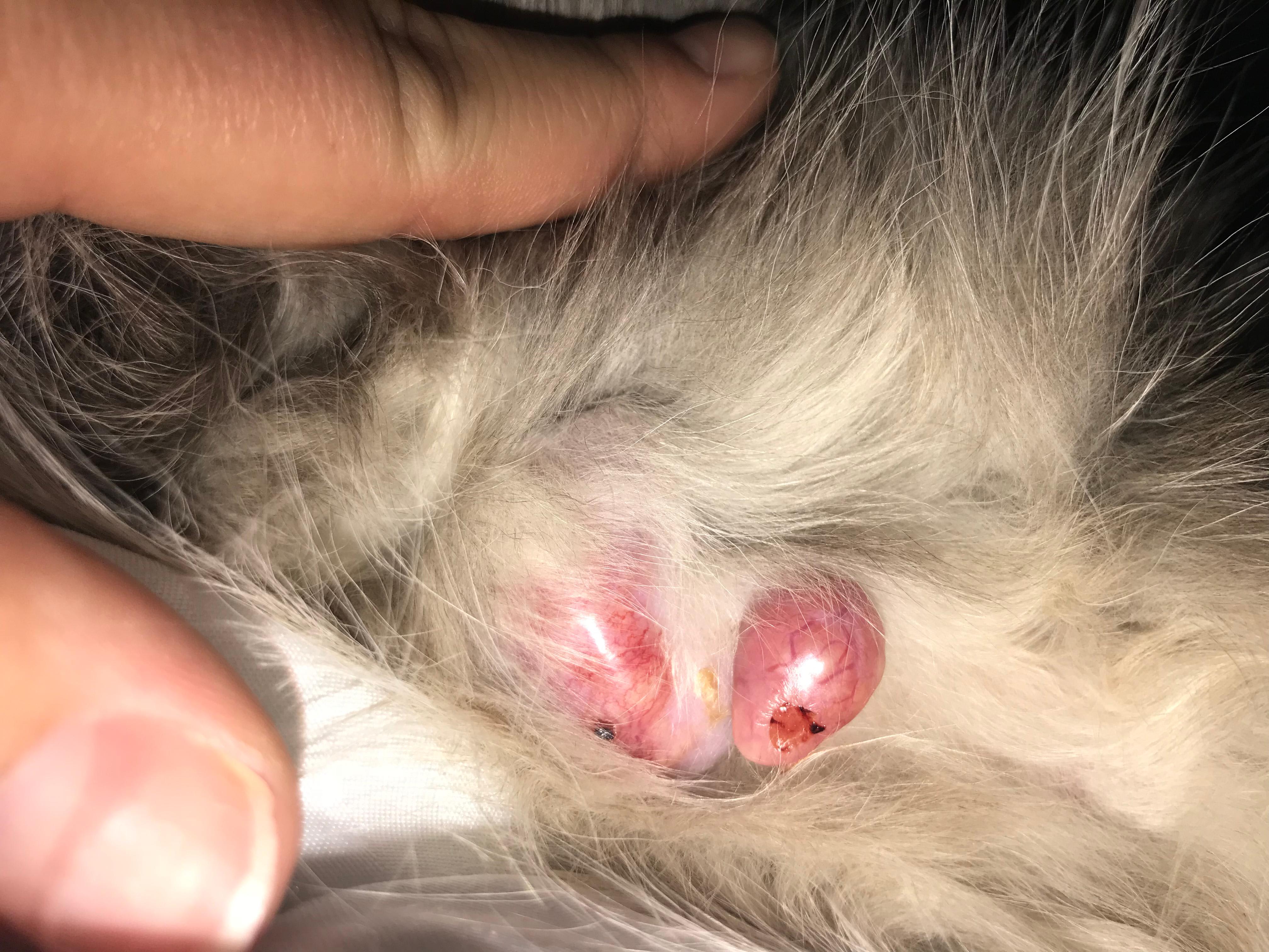 Question details sensitive content