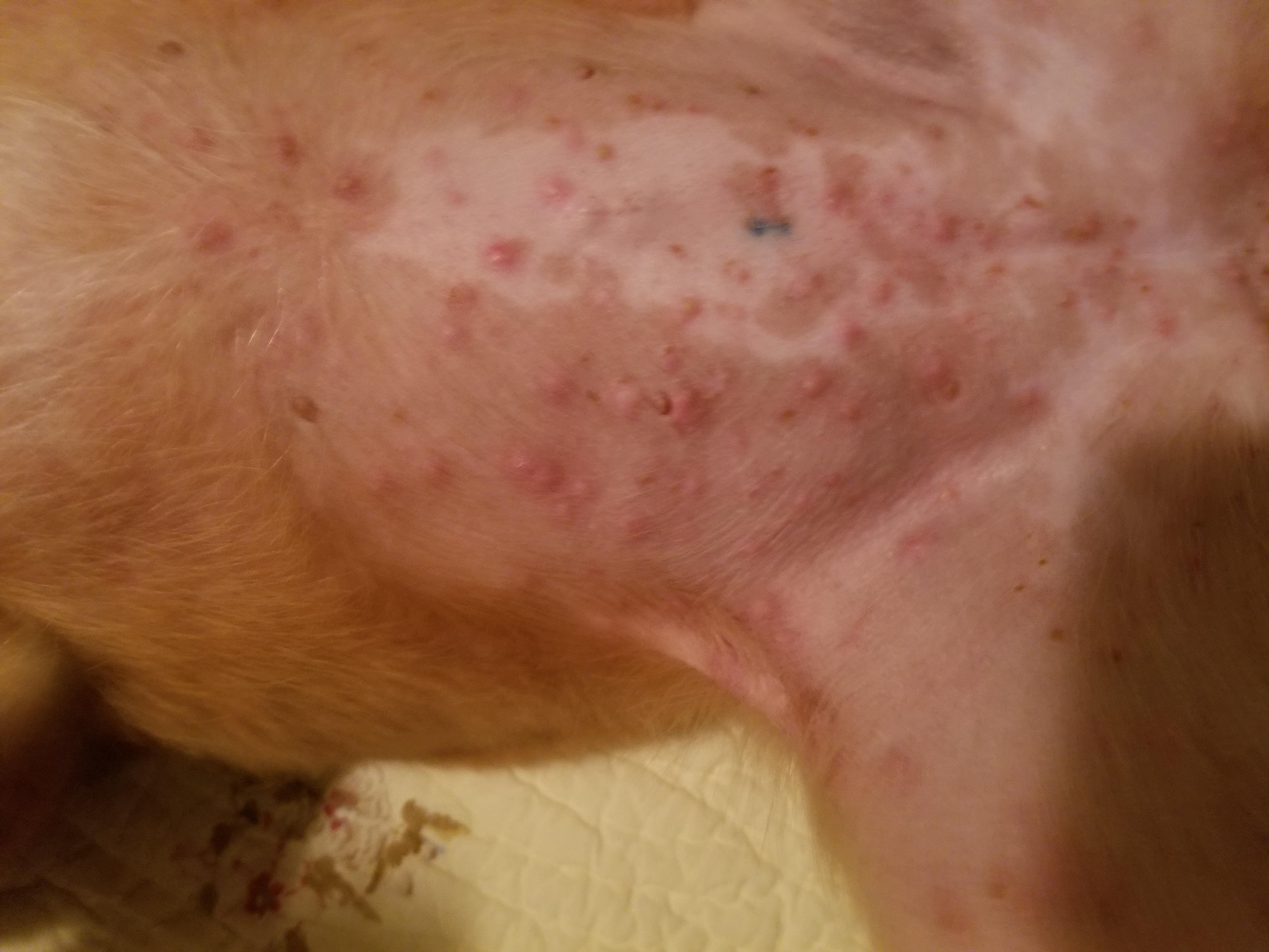 Question details sensitive content