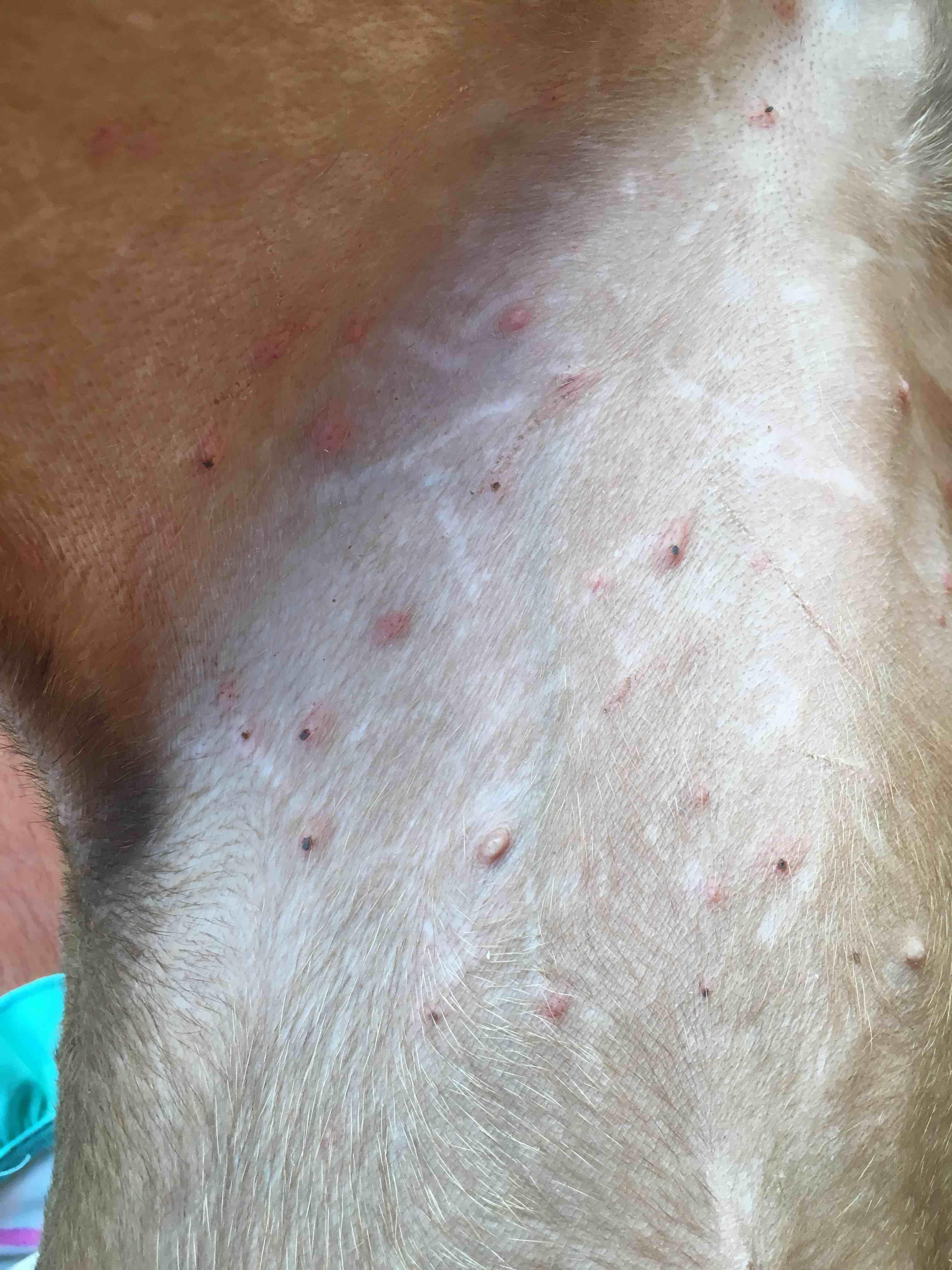 Question details sensitive content