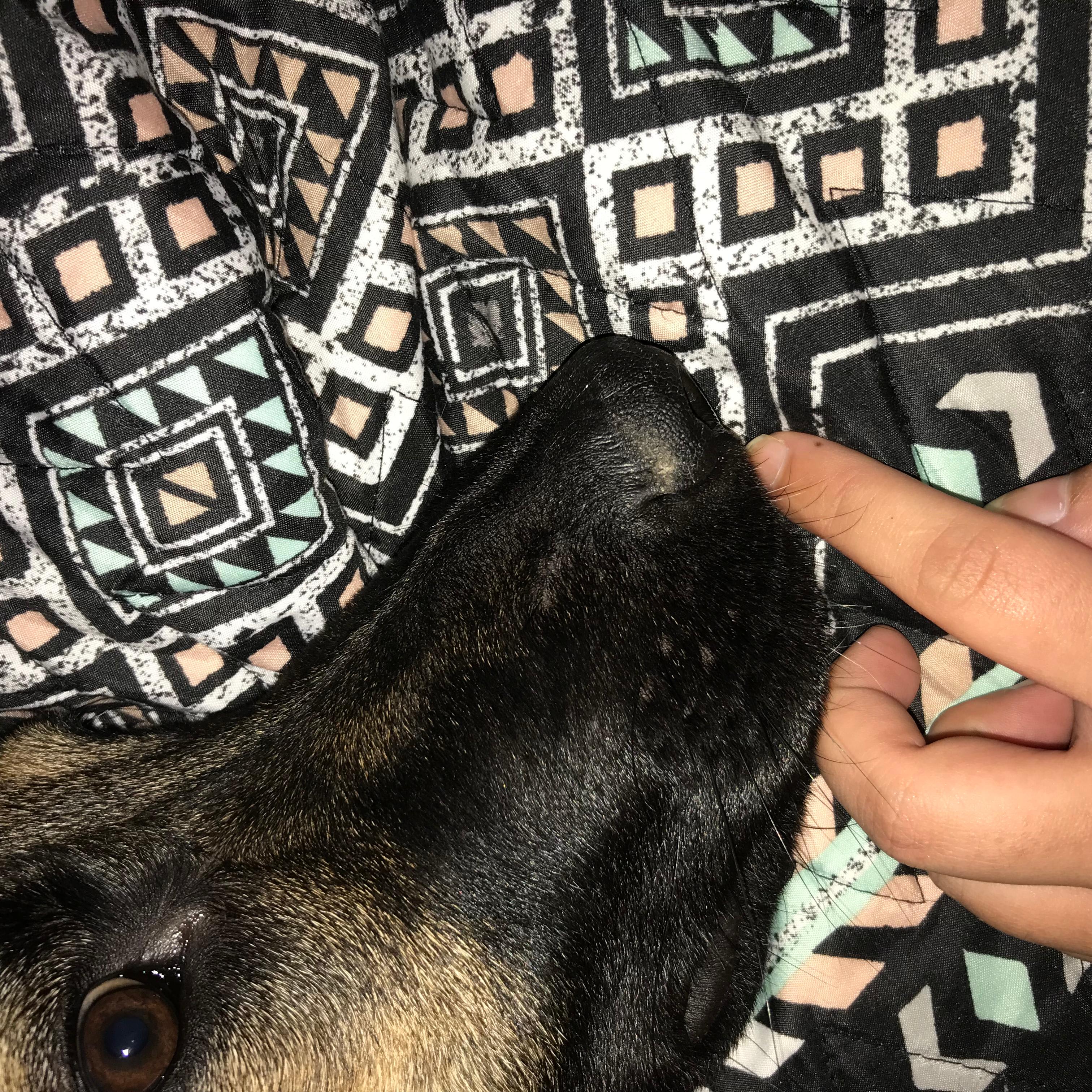 Question details sensitive content