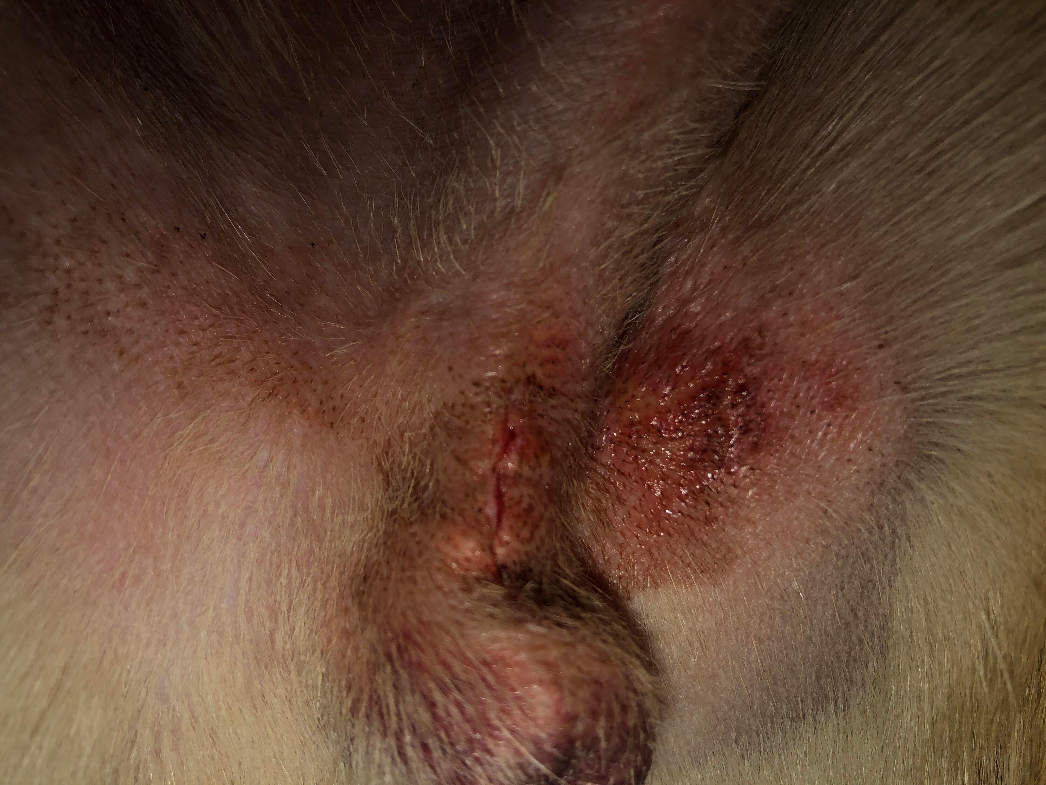 Question details sensitive content