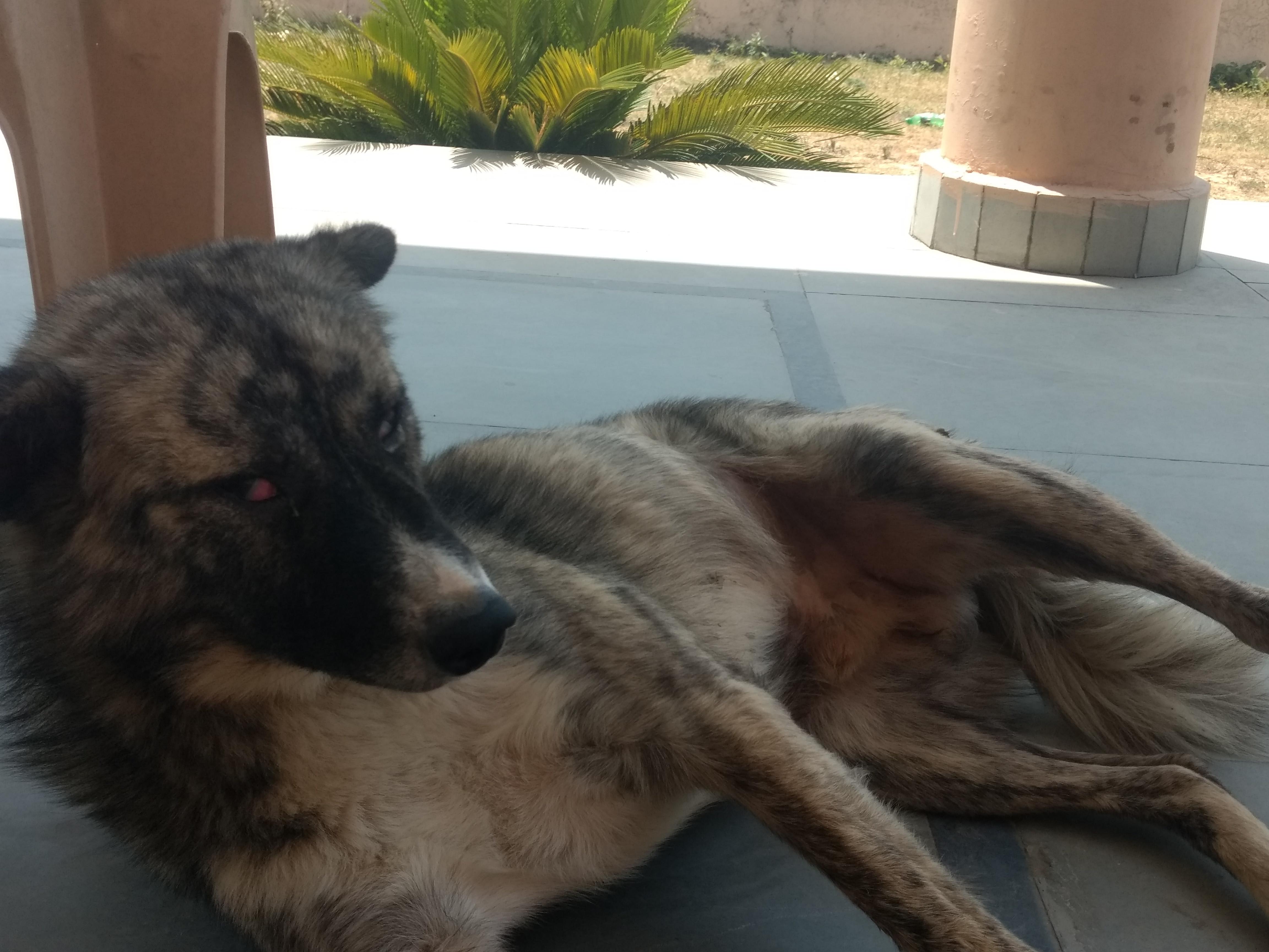 Question details sensitive content