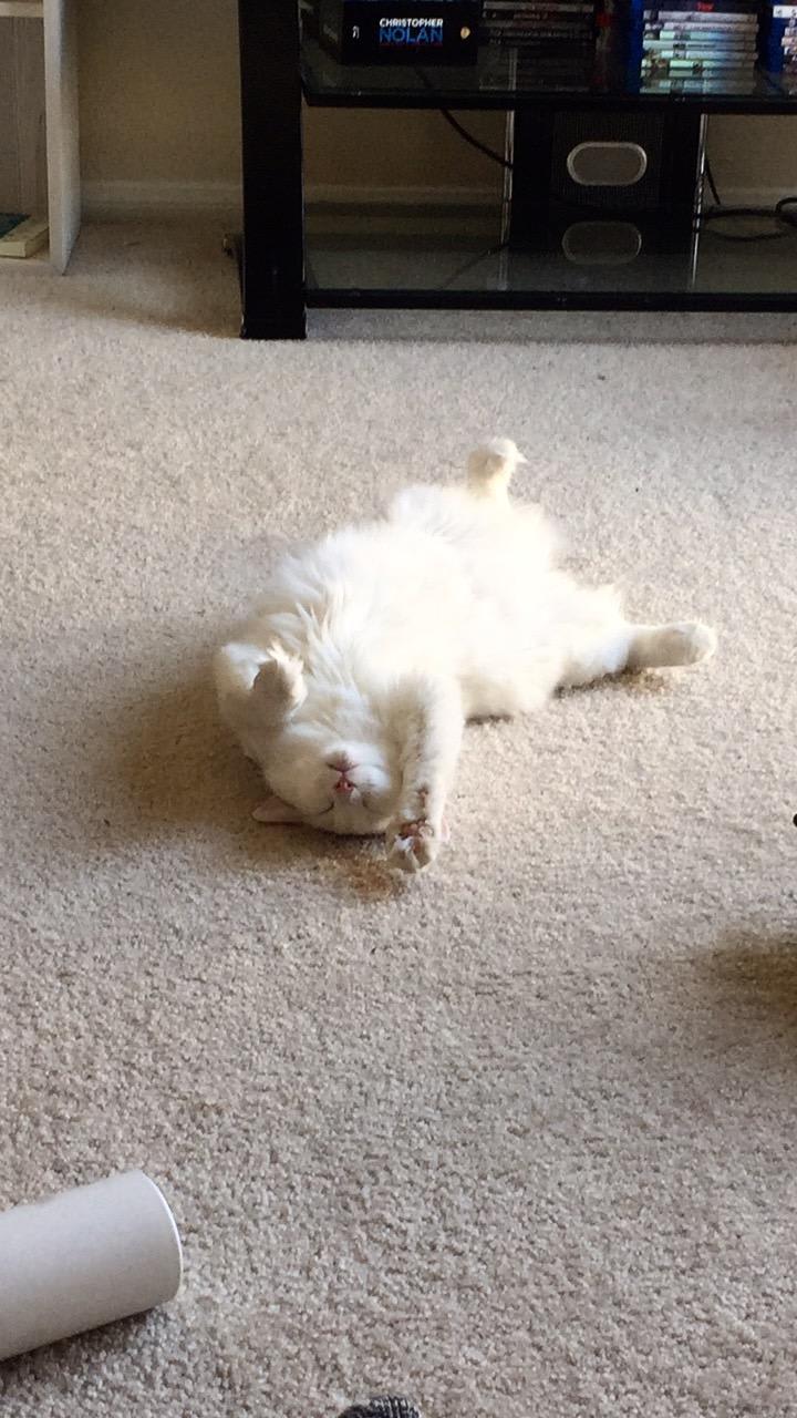 Question details sensitive content