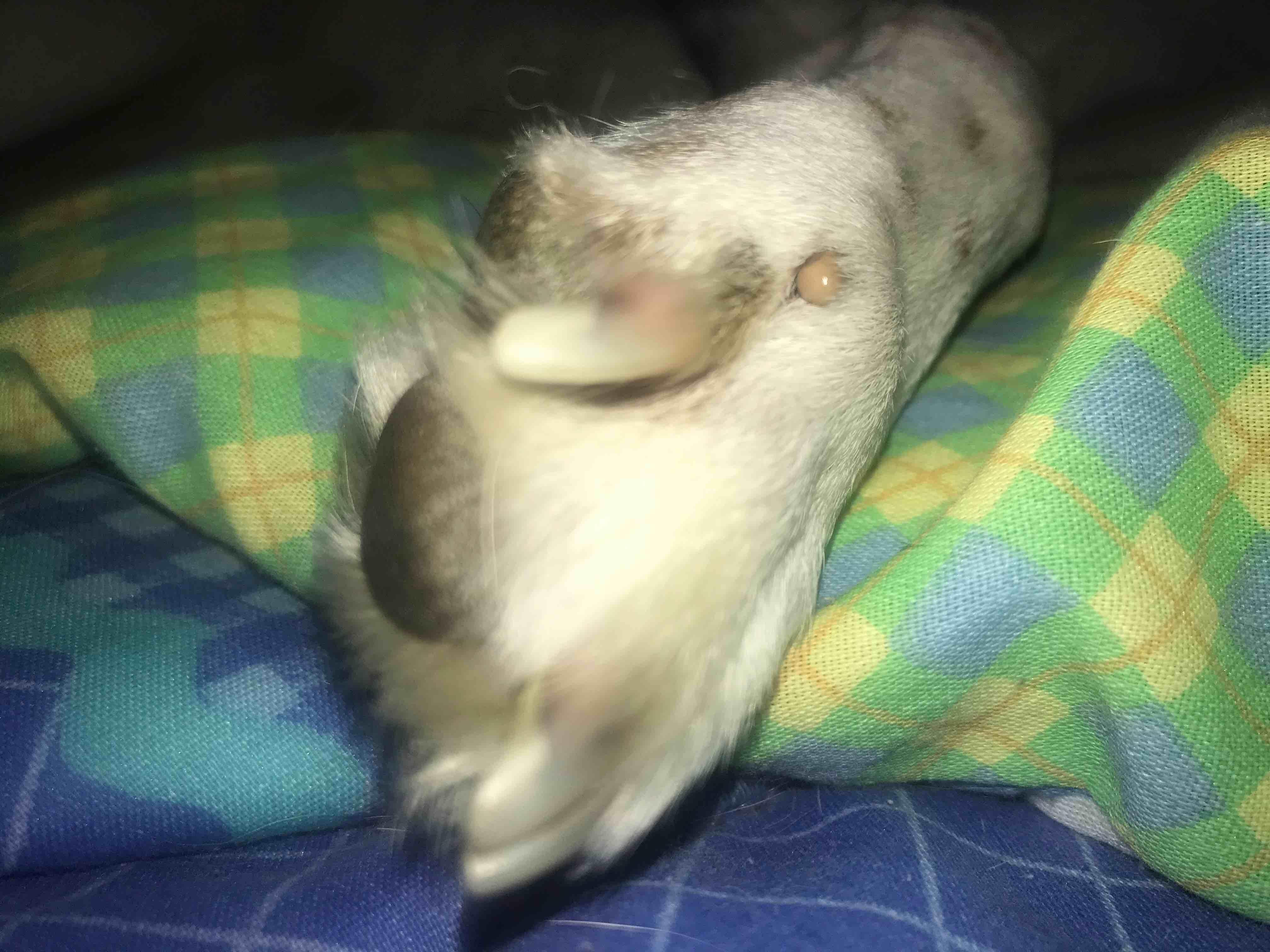 Question details sensitive content