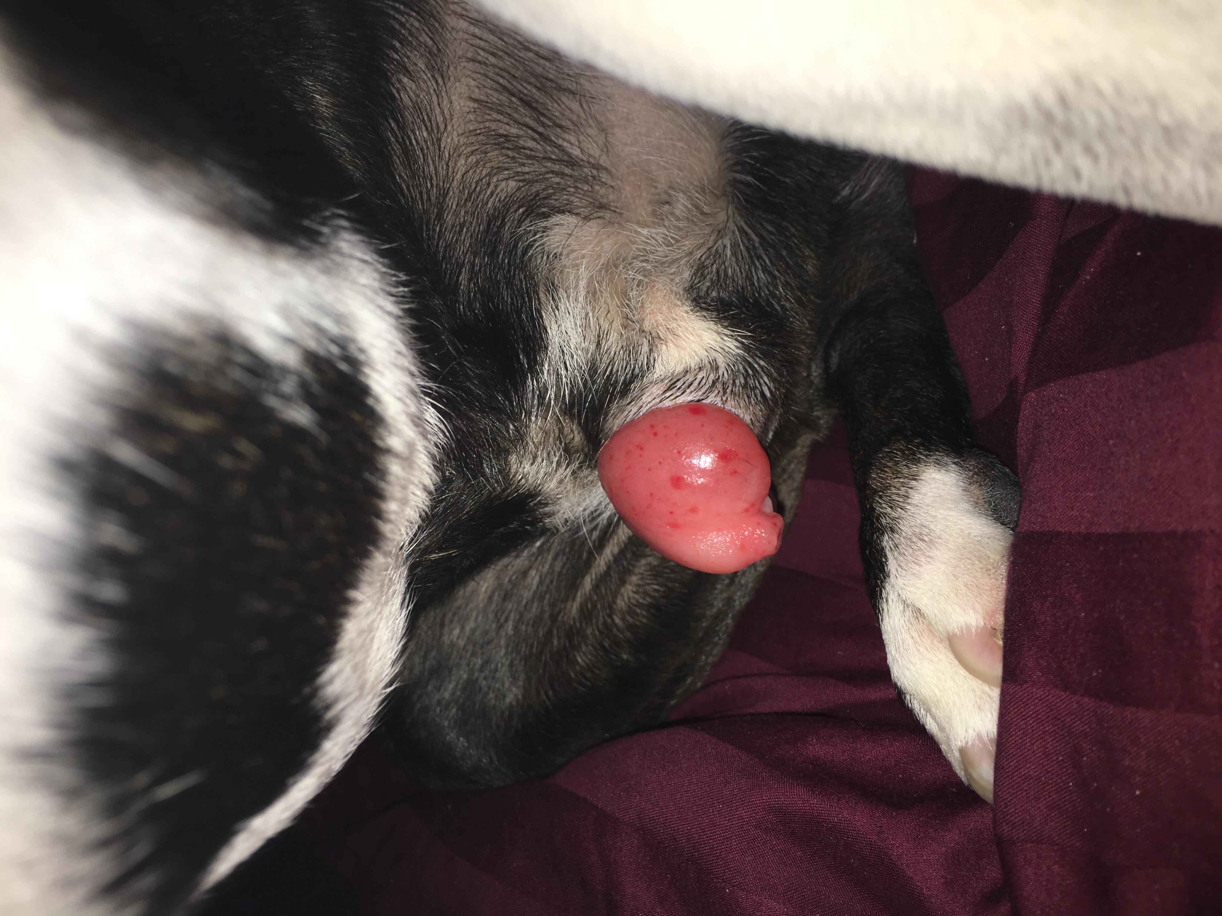 Question details sensitive content