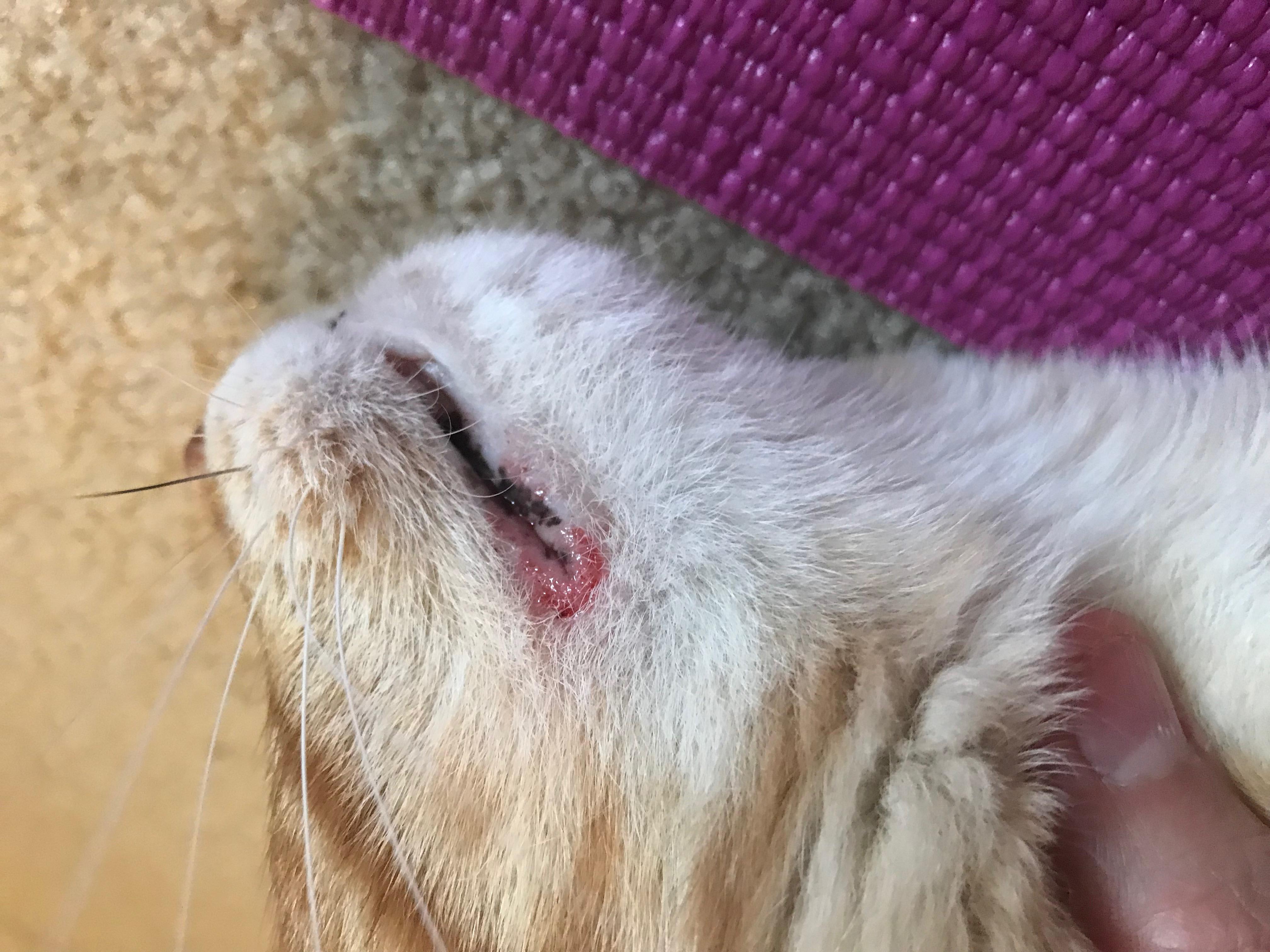 Question details sensitive content