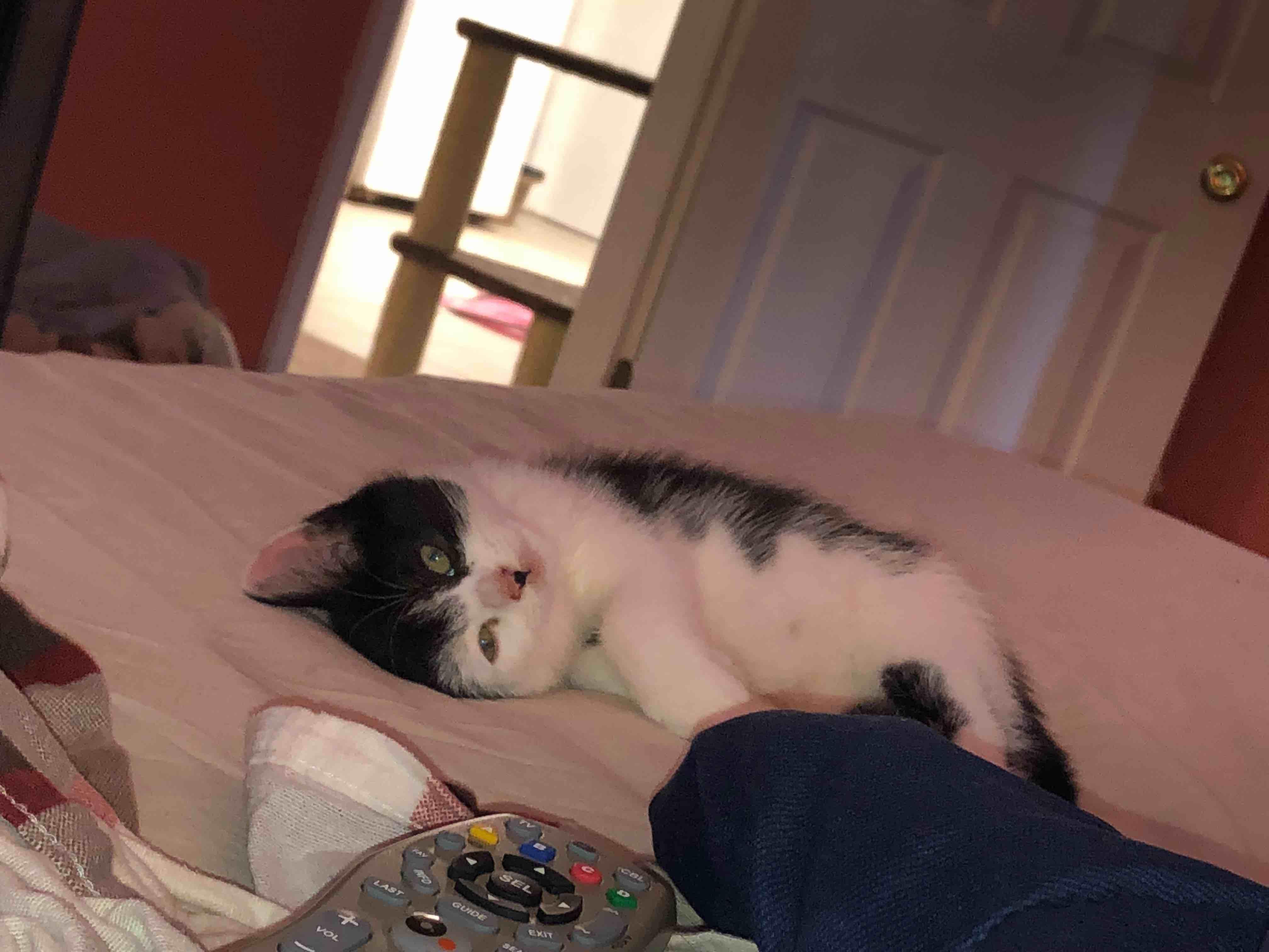 Question details sensitive content