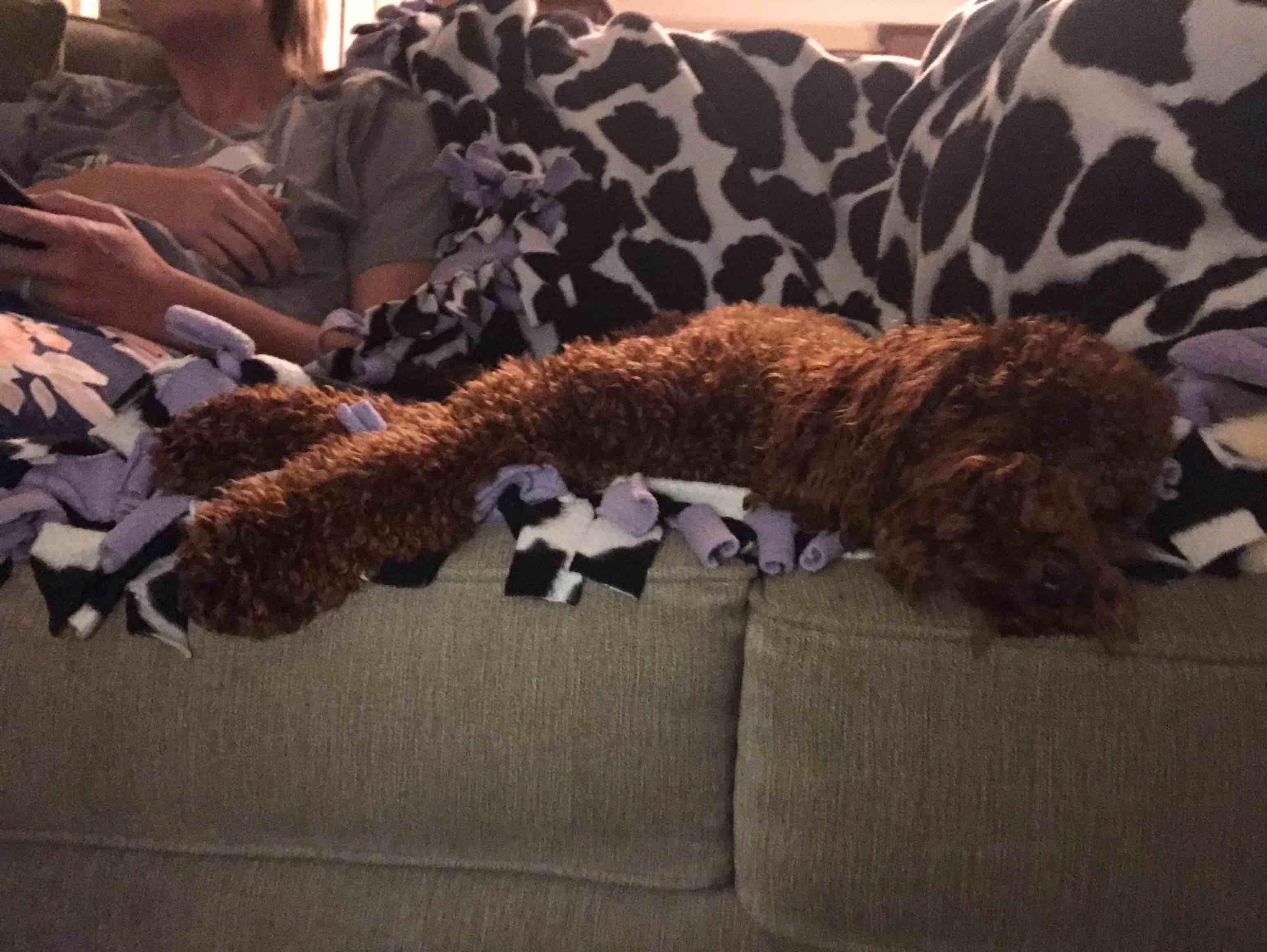 Question details sensitive content