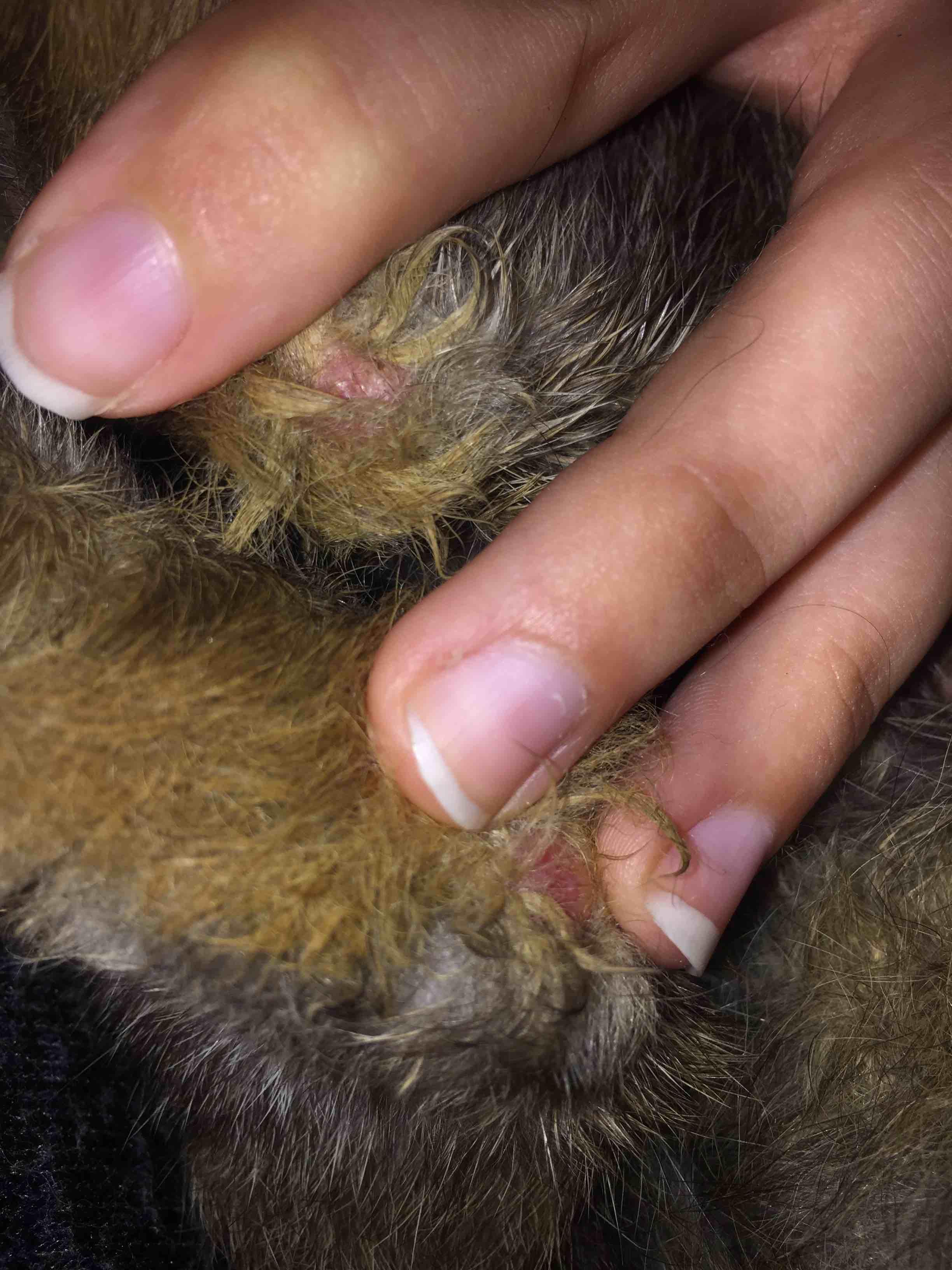 Question details sensitive content