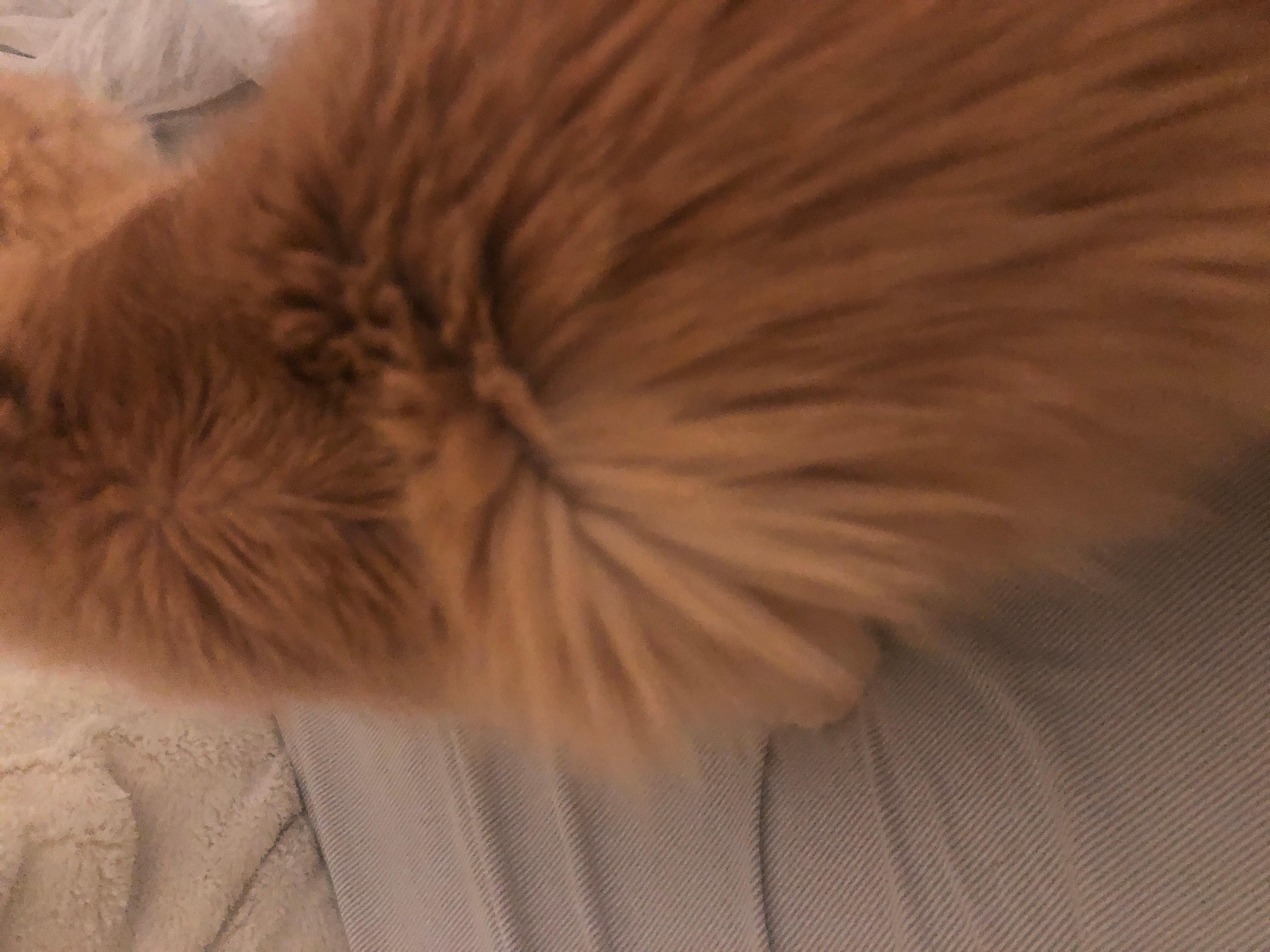 Question details sensitive content