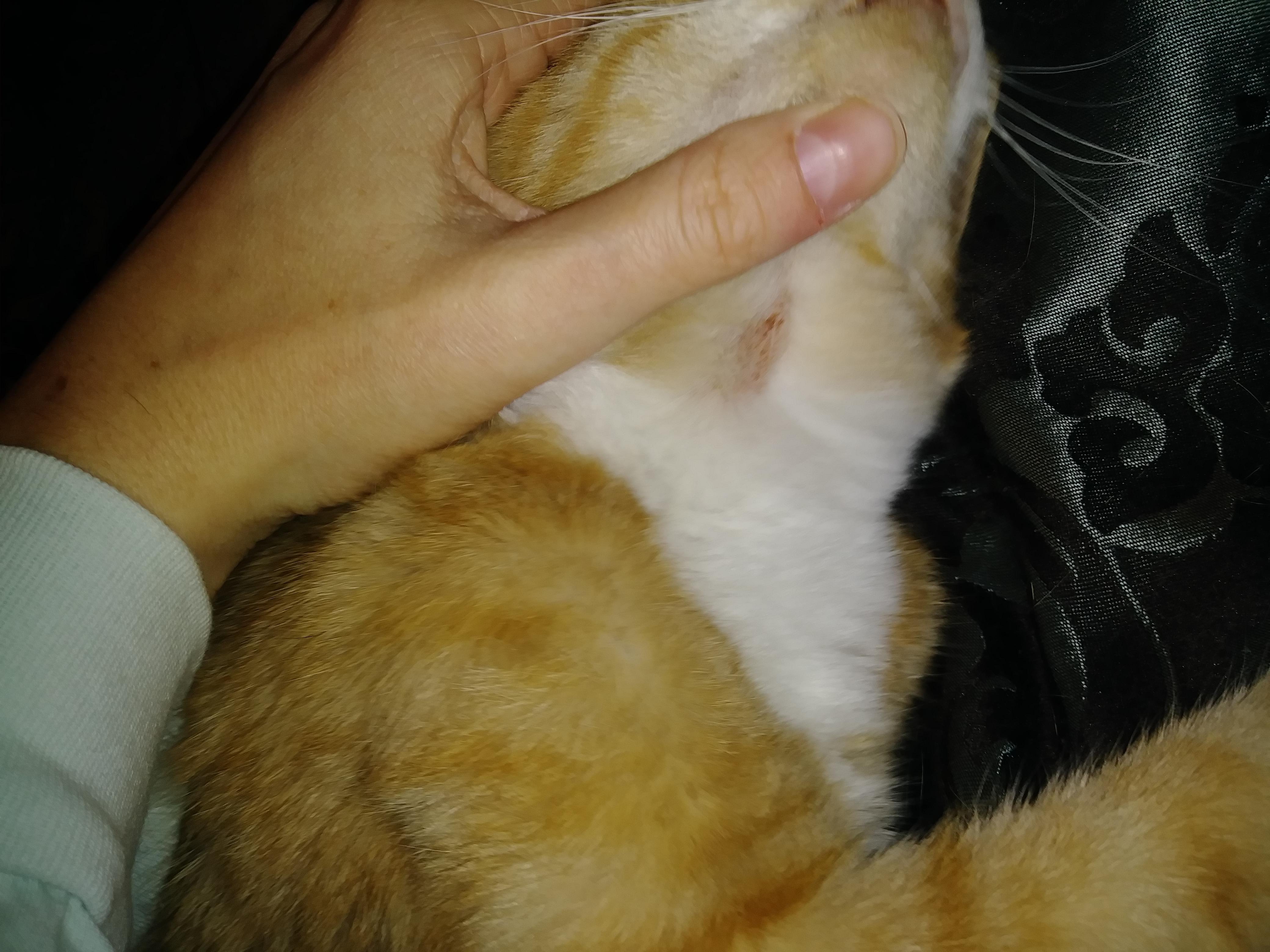 Question details sensitive content