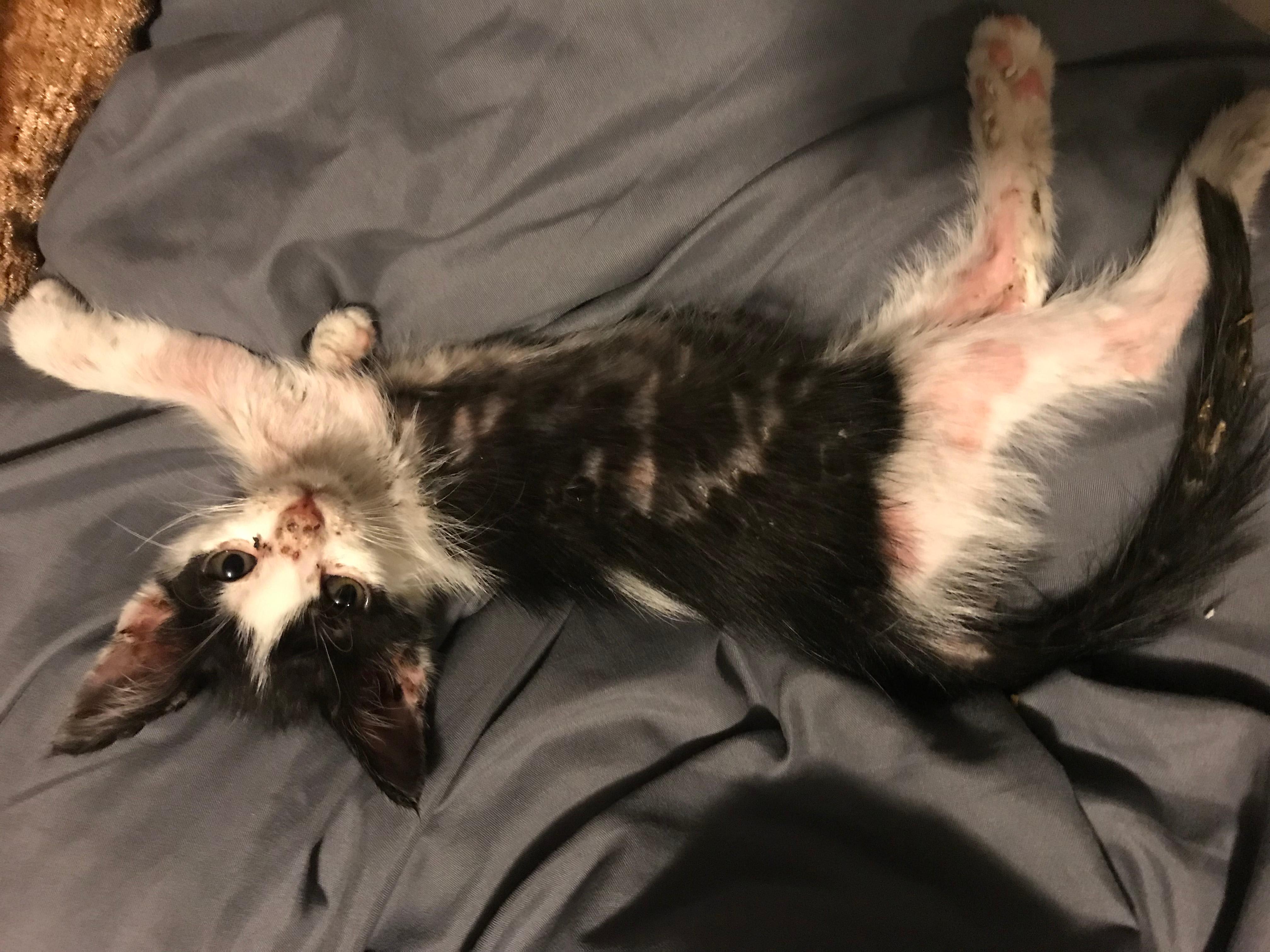 Question details sensitive content