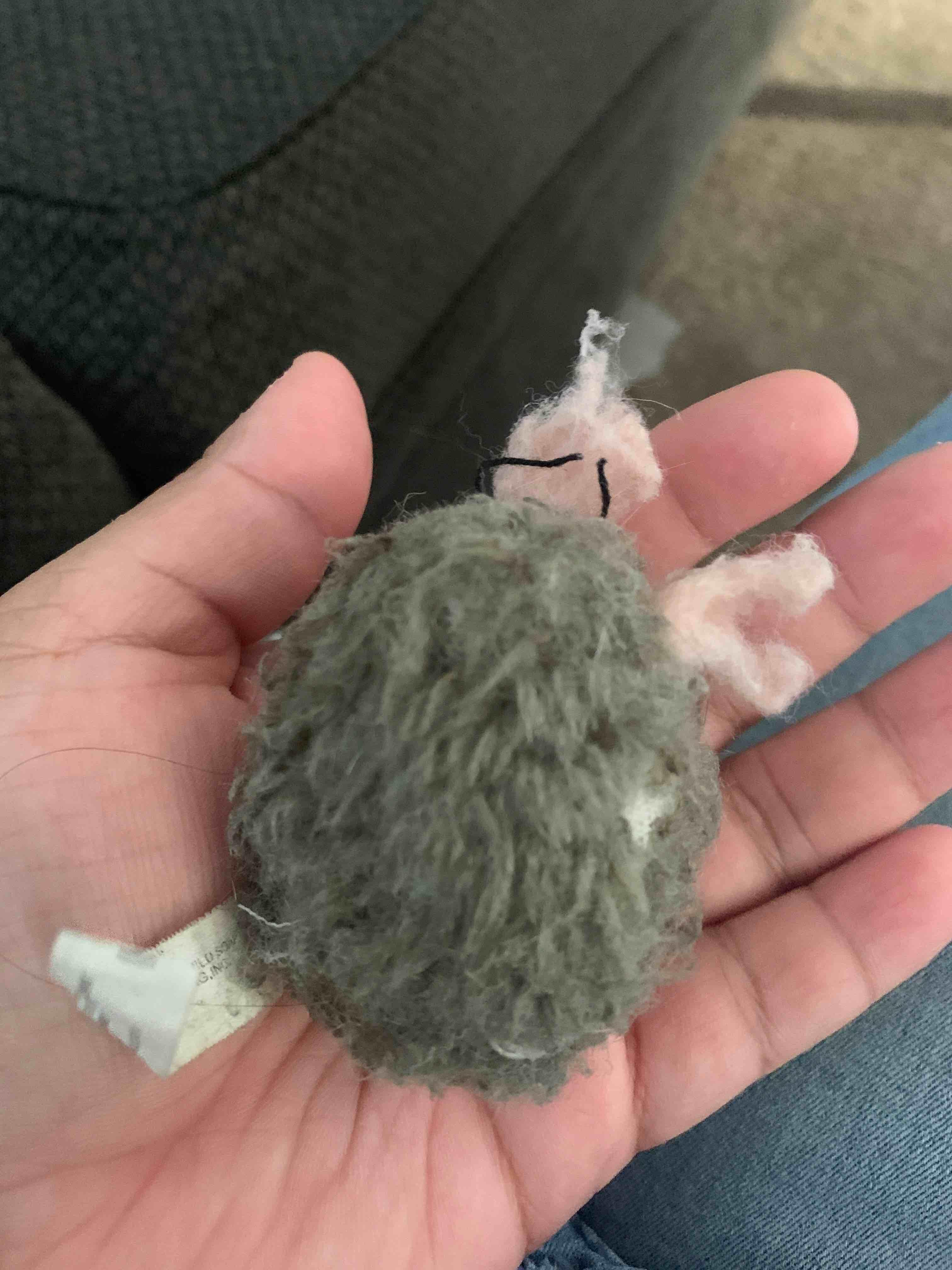 Question details sensitive content