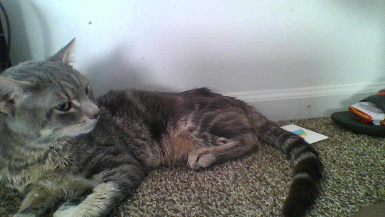 Question details sensitive content