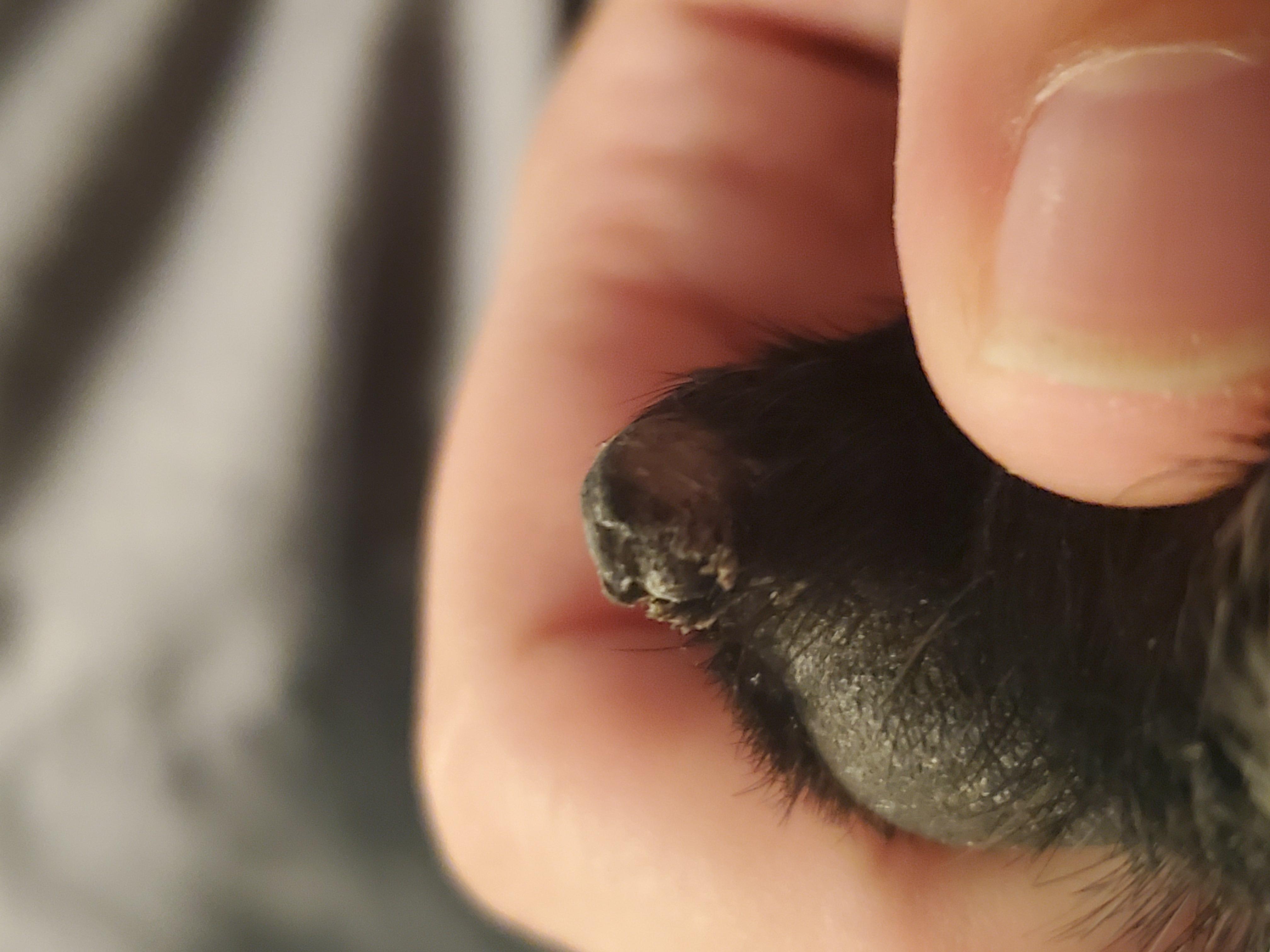 Question details sensitive content