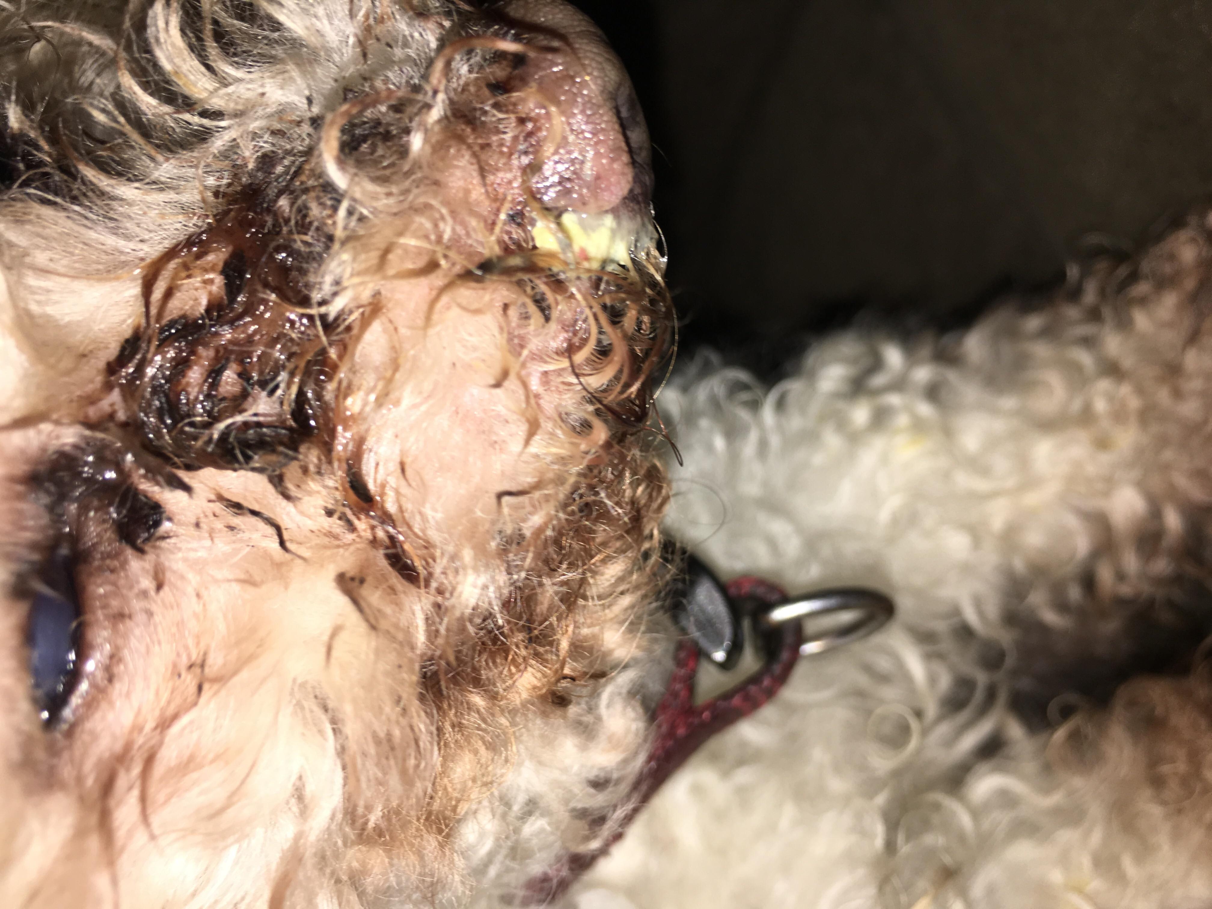 Question details sensitive content