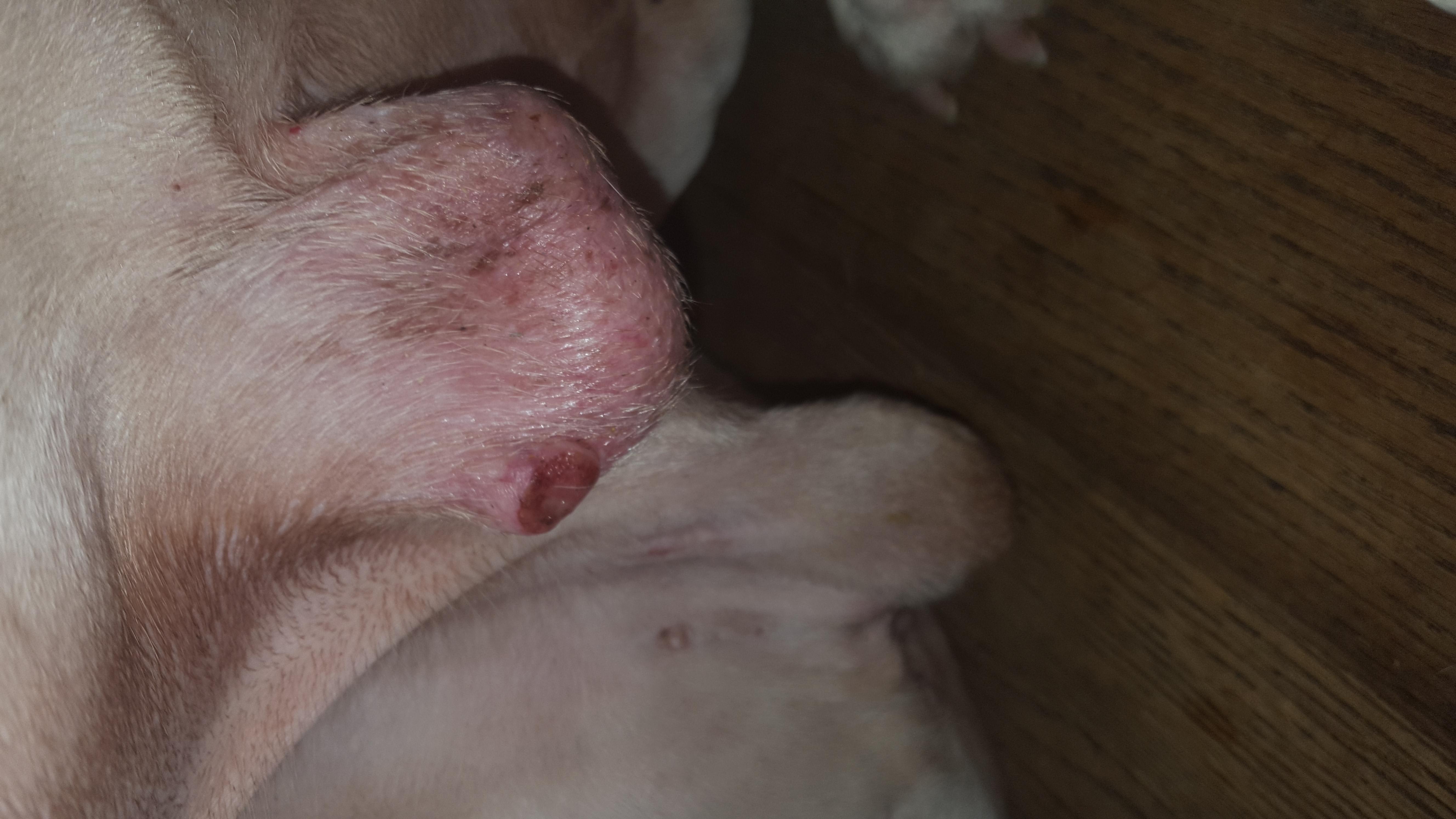 Question details sensitive content