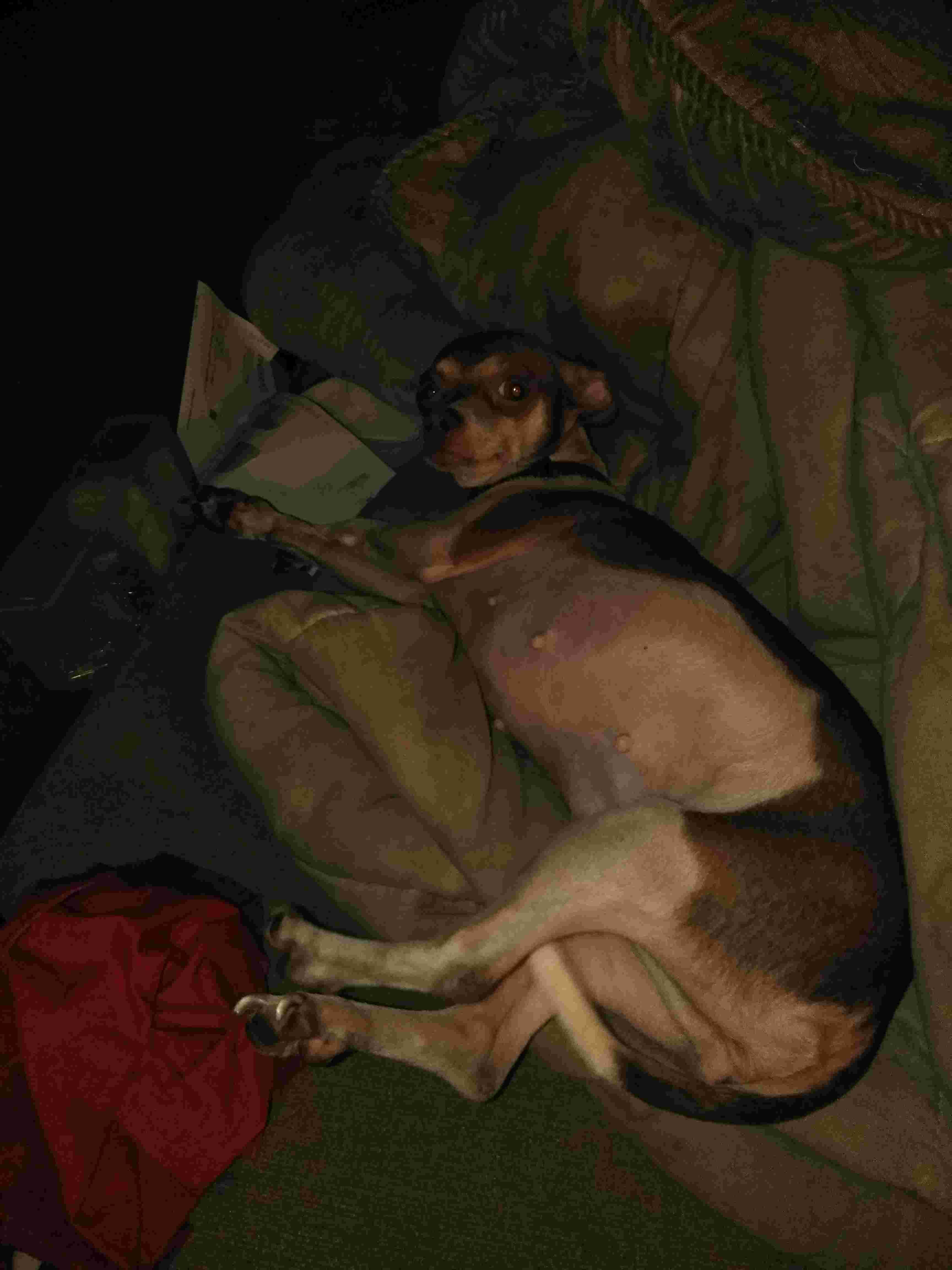 Question details sensitive content