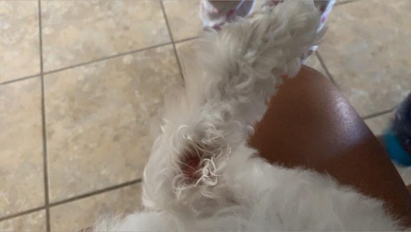 Question details sensitive content